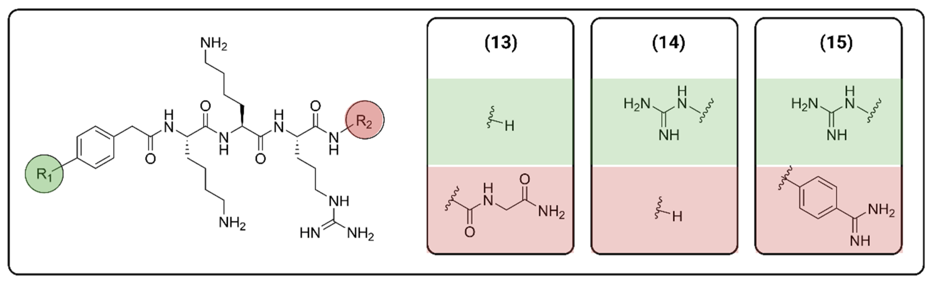 Viruses 16 00366 g006 Viruses 16 00366 g006