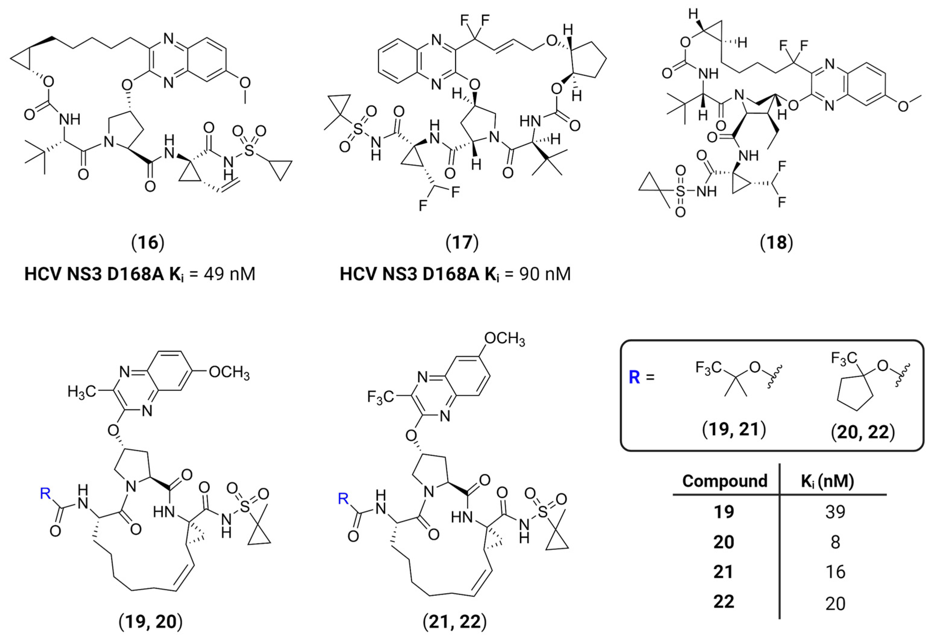 Viruses 16 00366 g007 Viruses 16 00366 g007