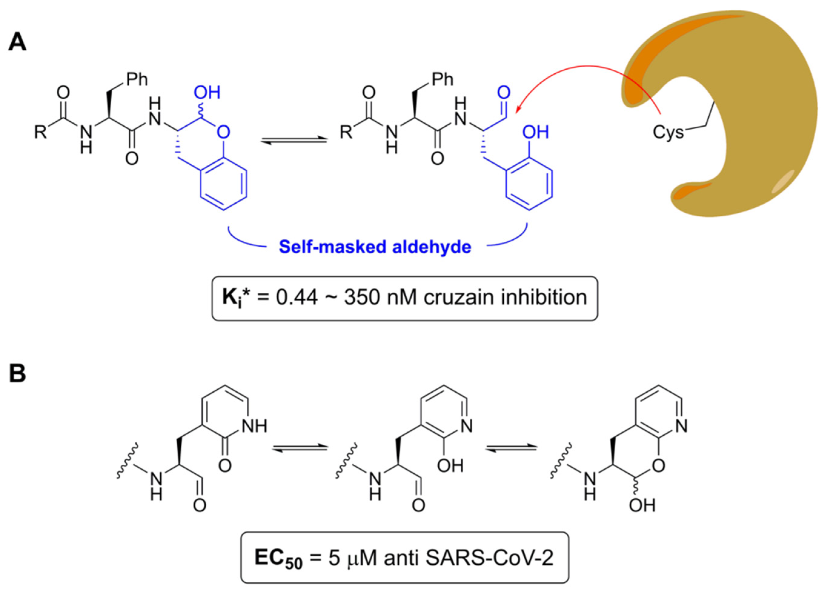 Viruses 16 00366 g009 Viruses 16 00366 g009