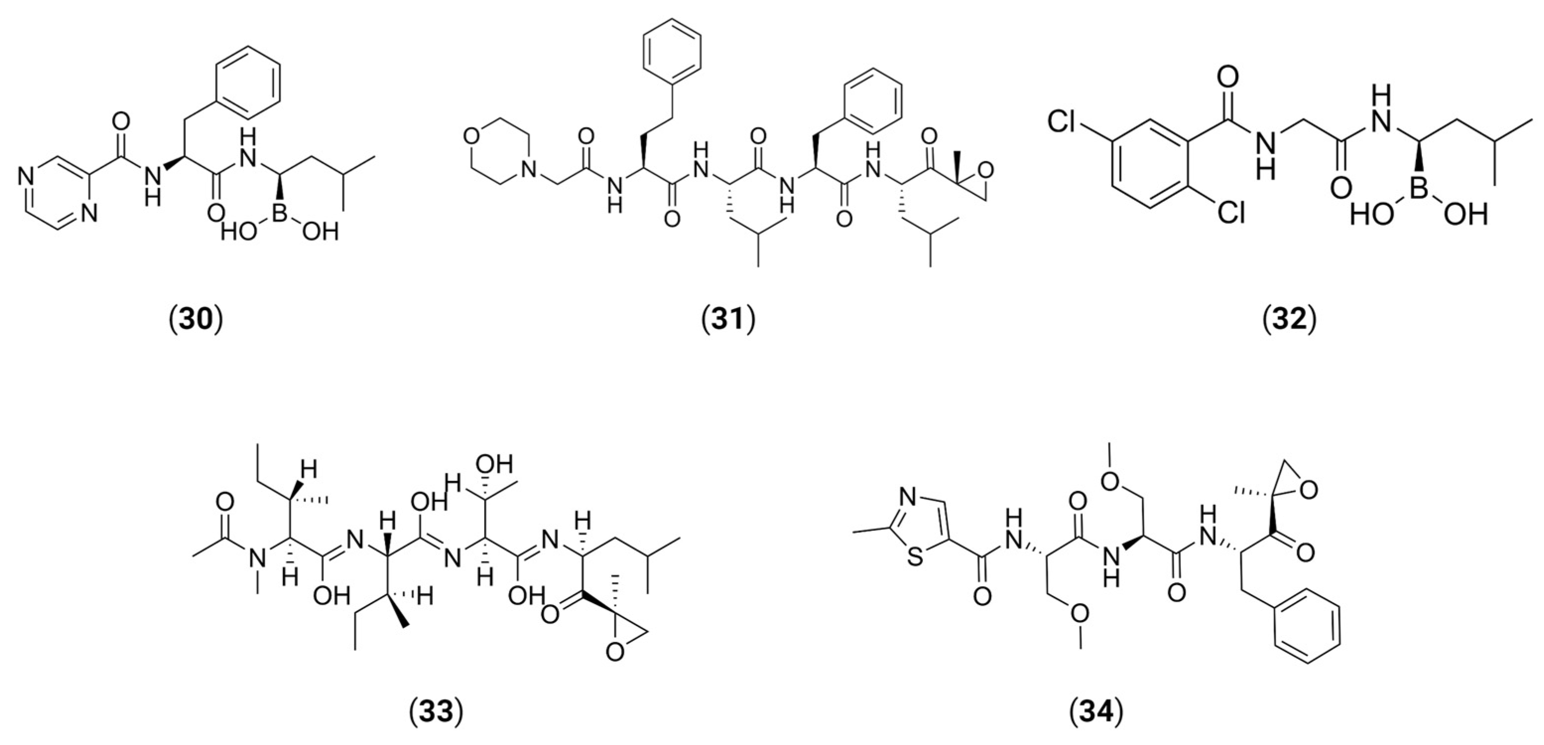 Viruses 16 00366 g015 Viruses 16 00366 g015