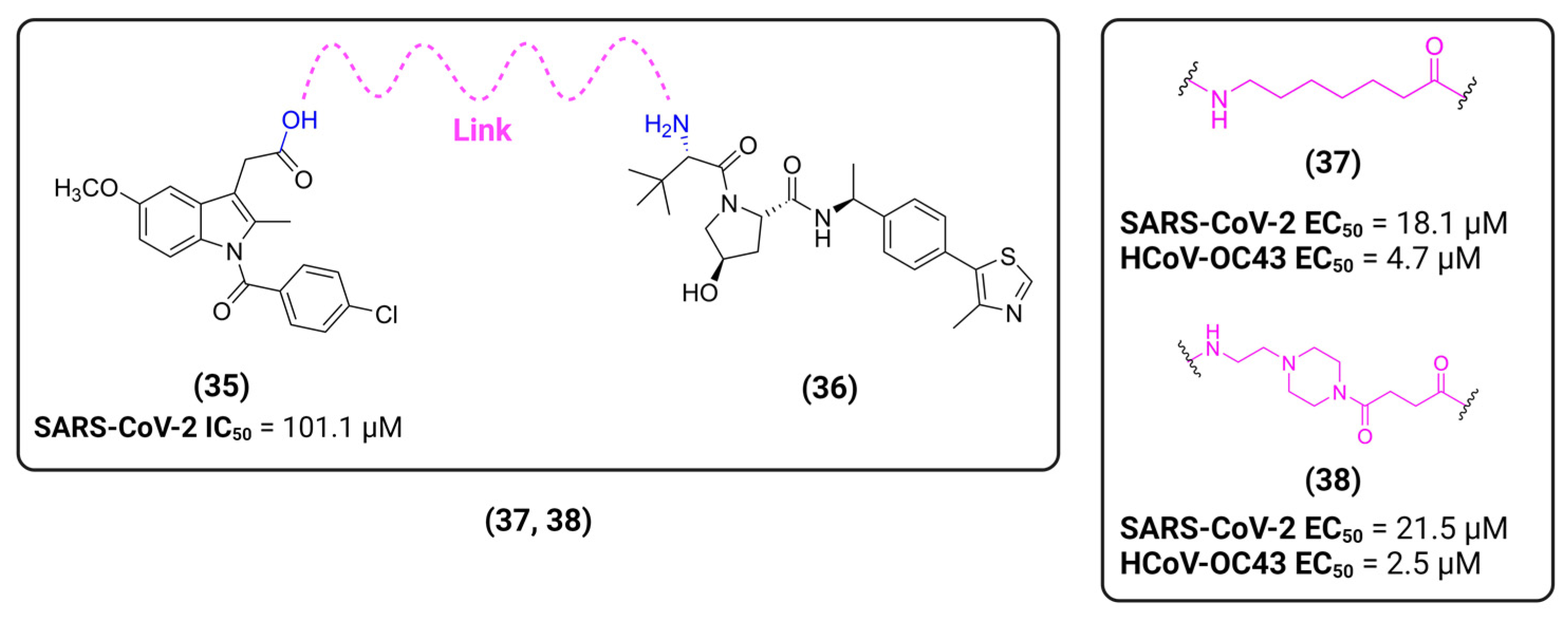 Viruses 16 00366 g017 Viruses 16 00366 g017