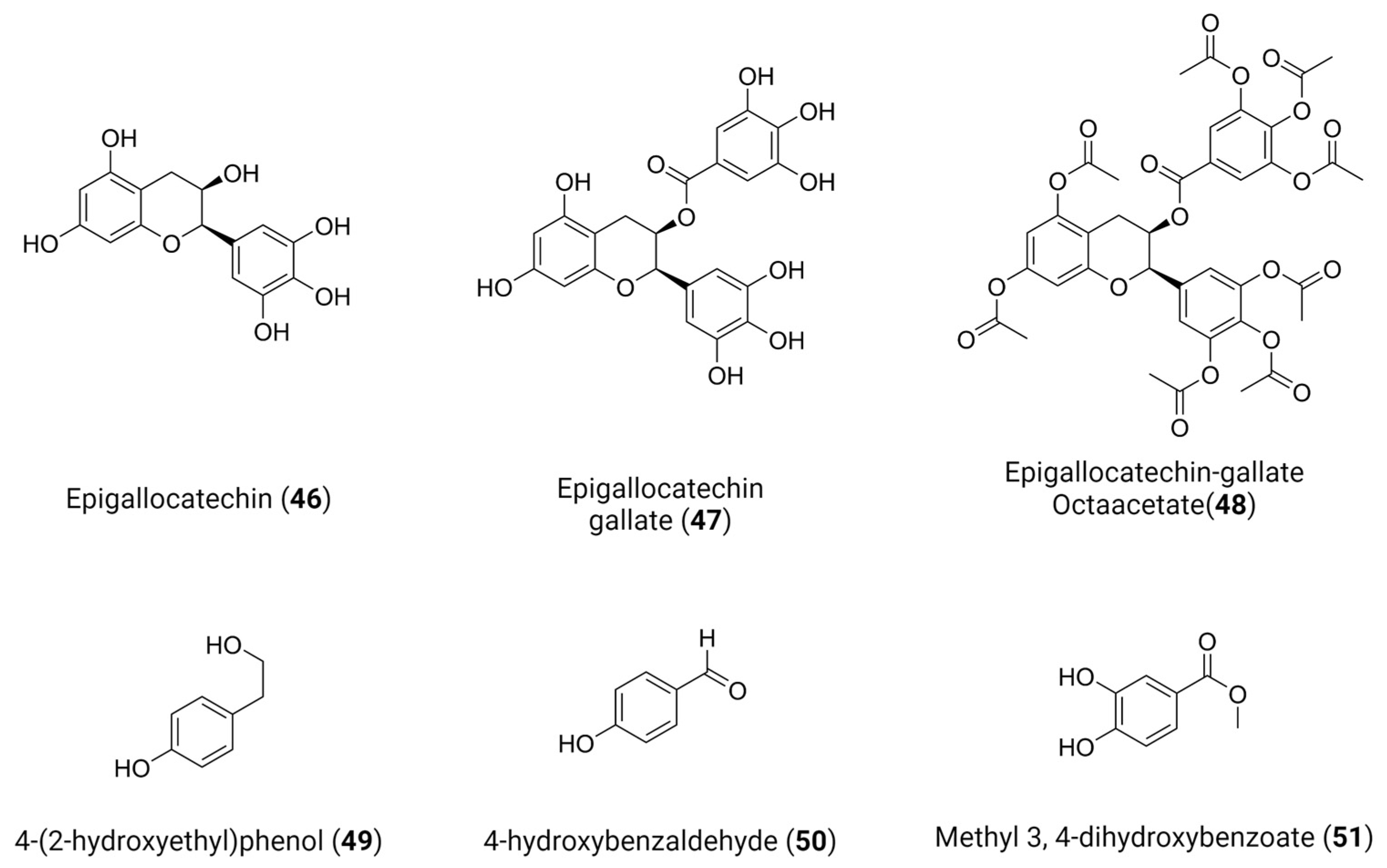 Viruses 16 00366 g019 Viruses 16 00366 g019