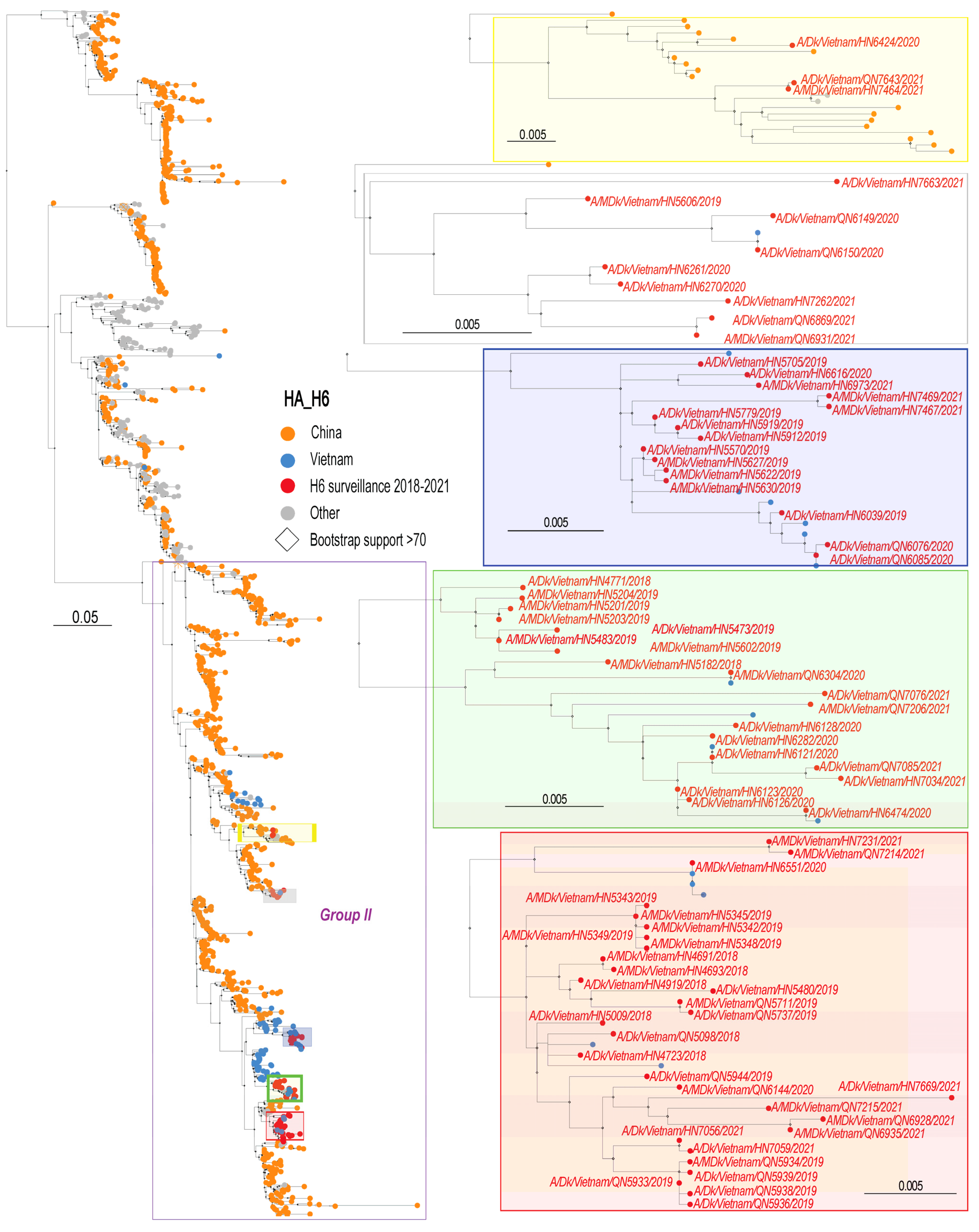 Viruses 16 00367 g001