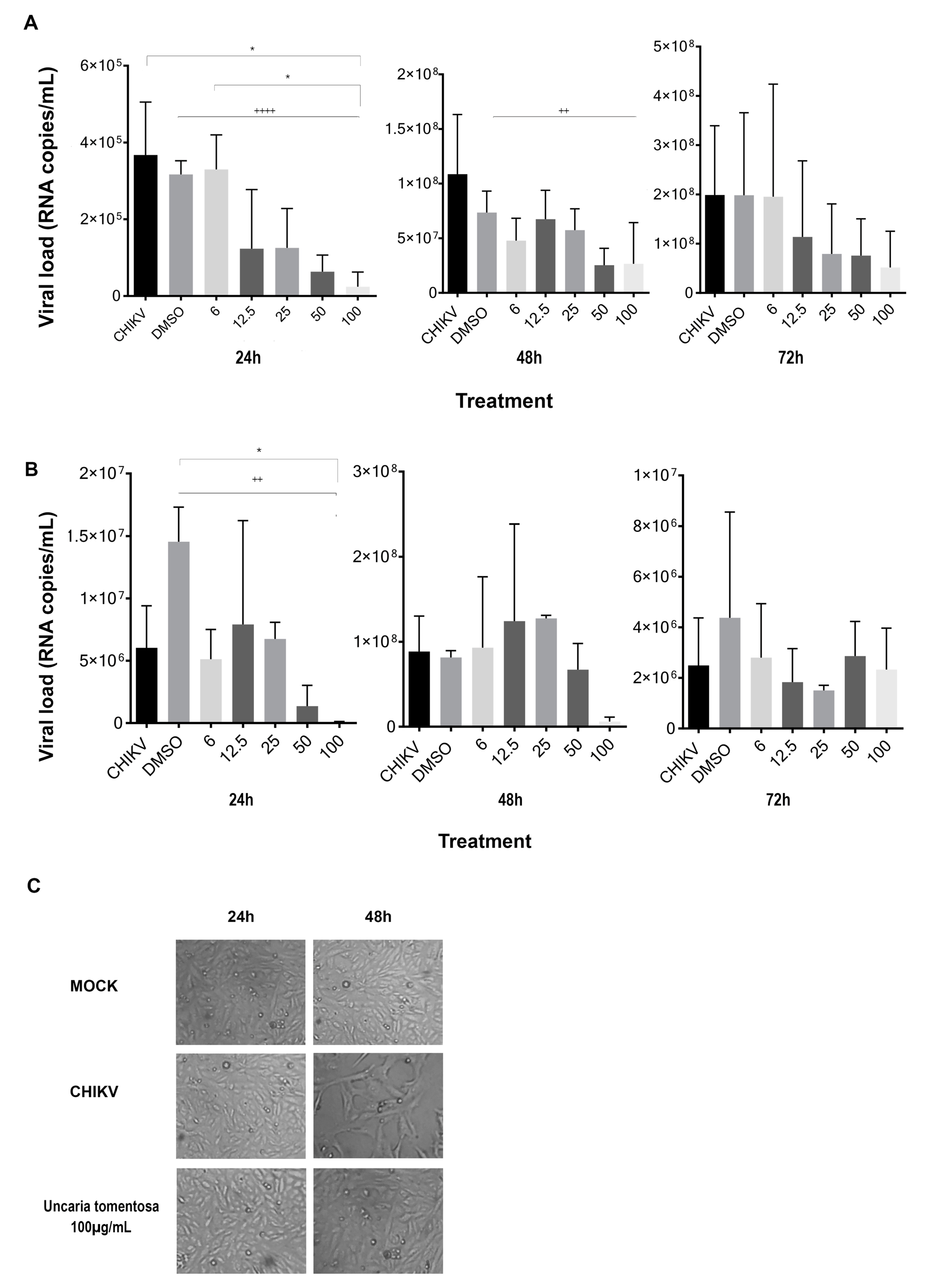 Viruses 16 00369 g003