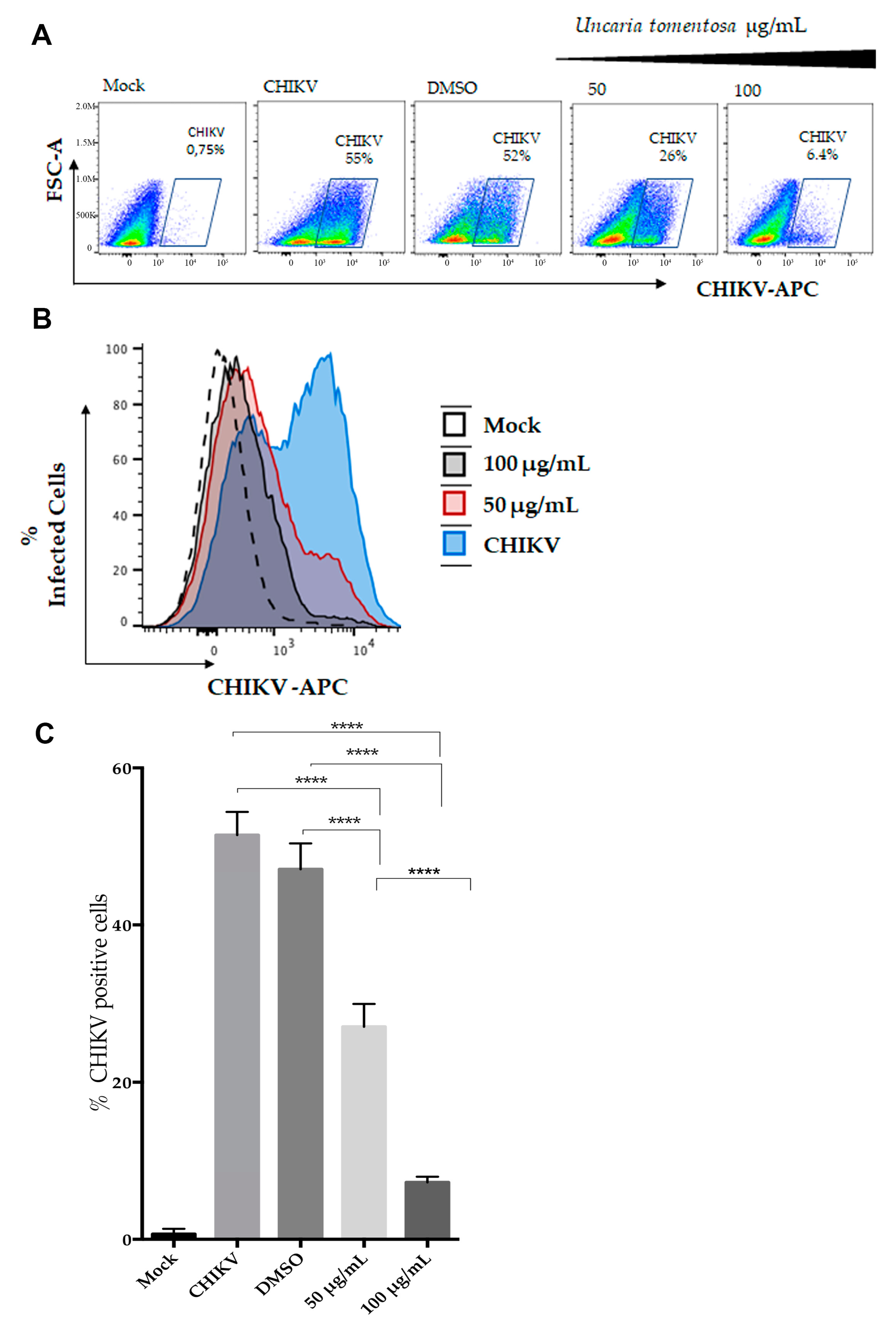 Viruses 16 00369 g004