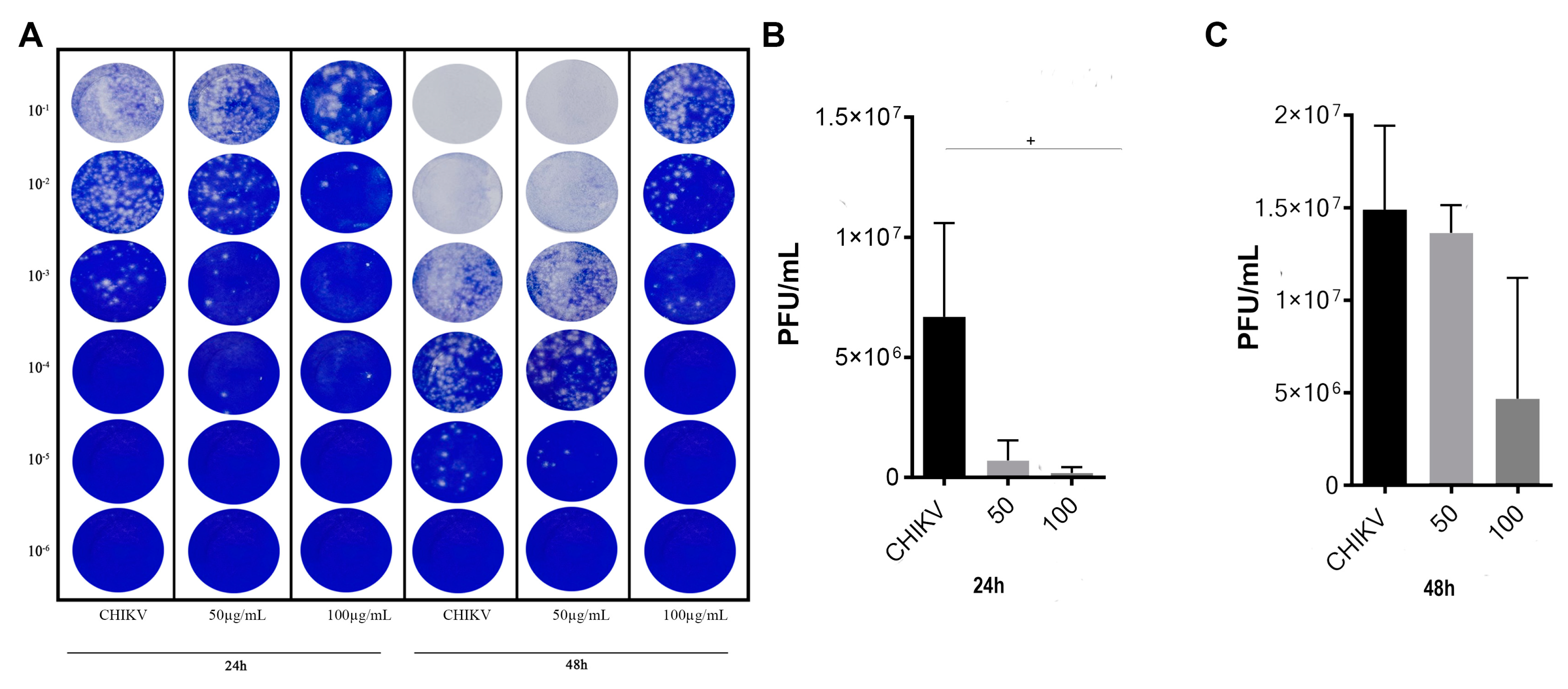 Viruses 16 00369 g005