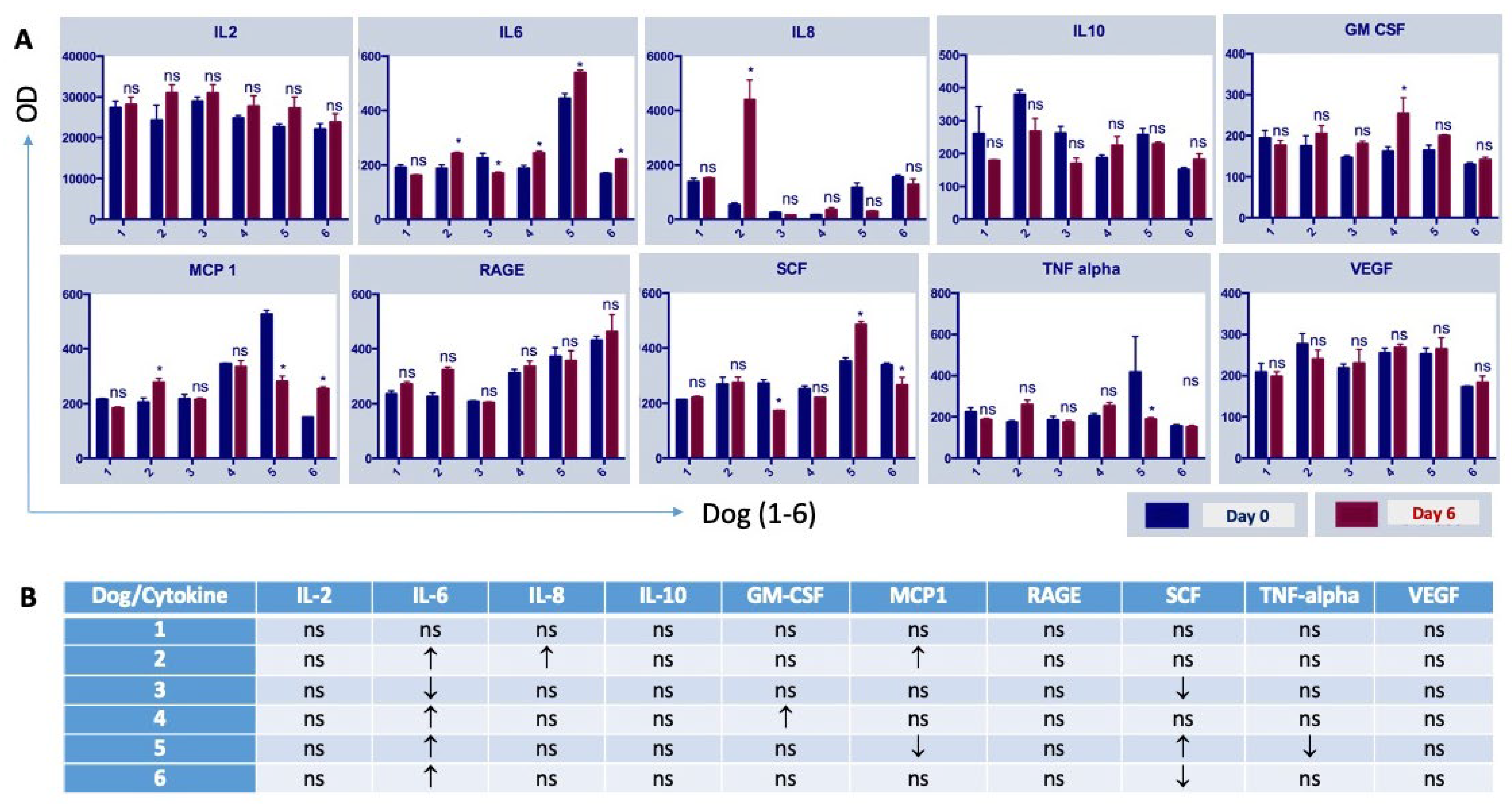 Viruses 16 00372 g007