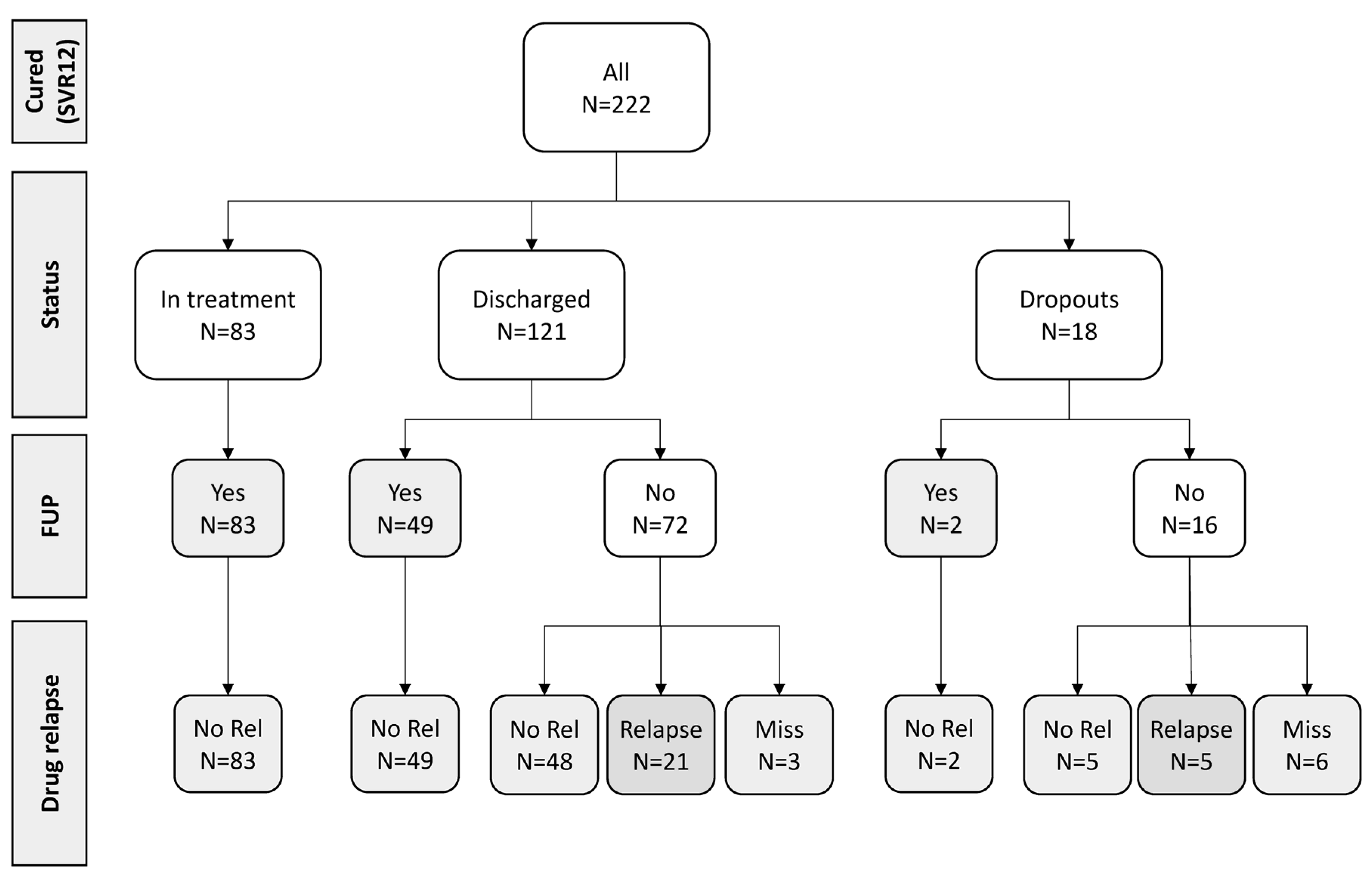 Viruses 16 00375 g003