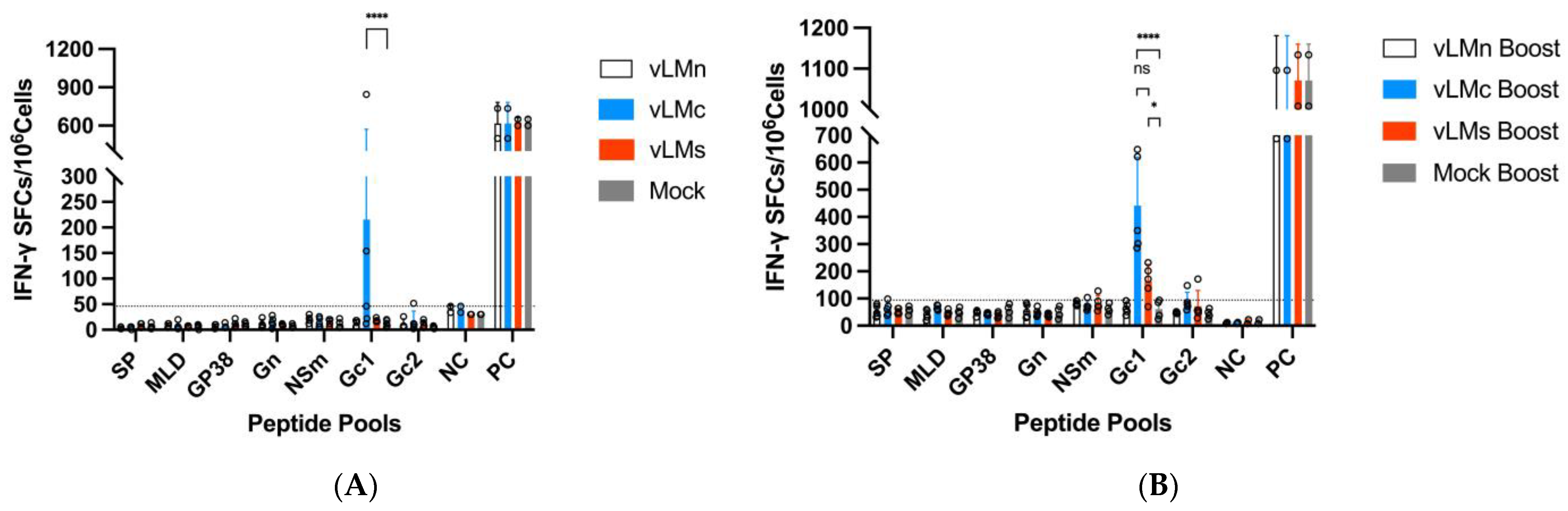 Viruses 16 00378 g007