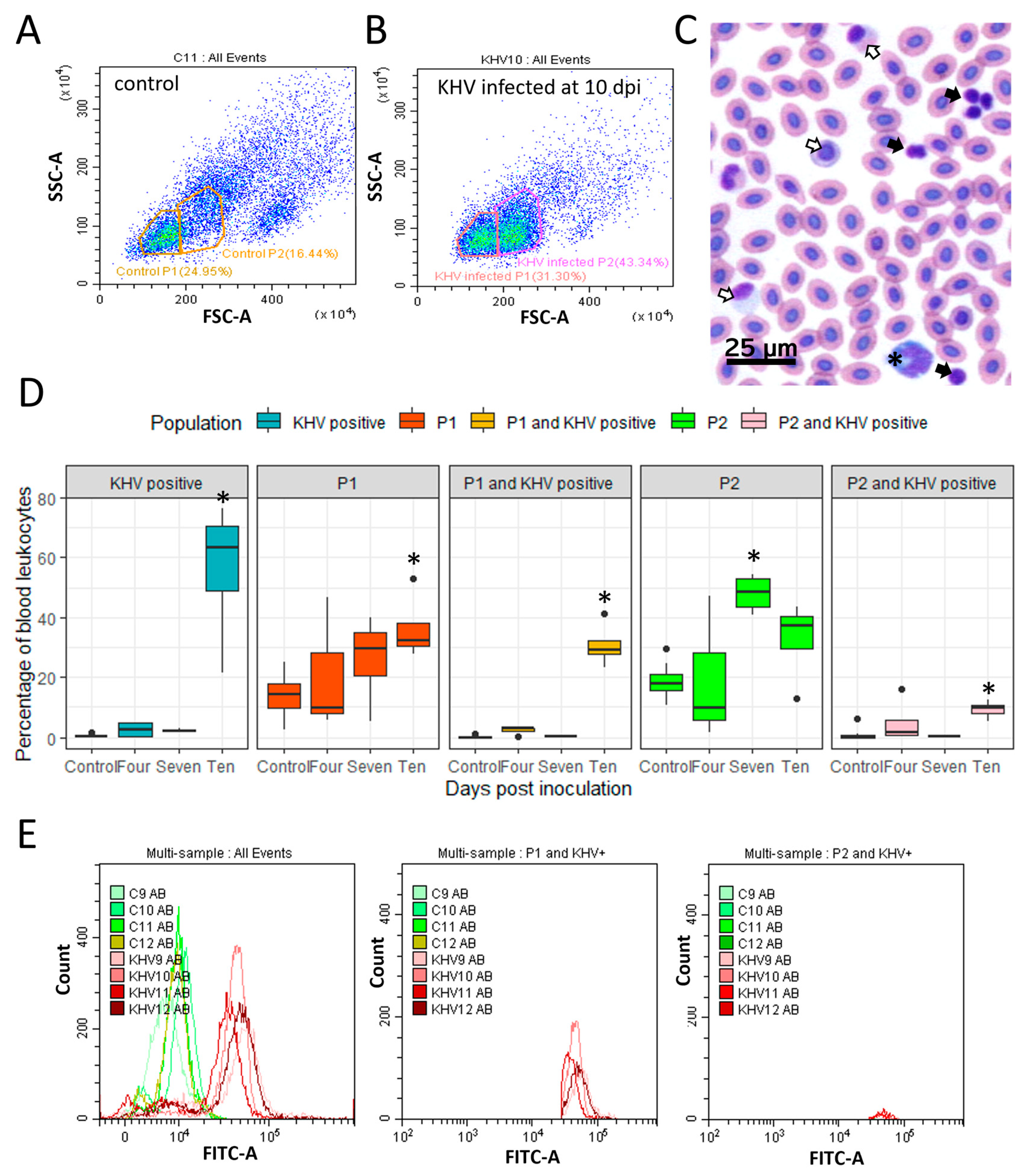 Viruses 16 00380 g001 Viruses 16 00380 g001