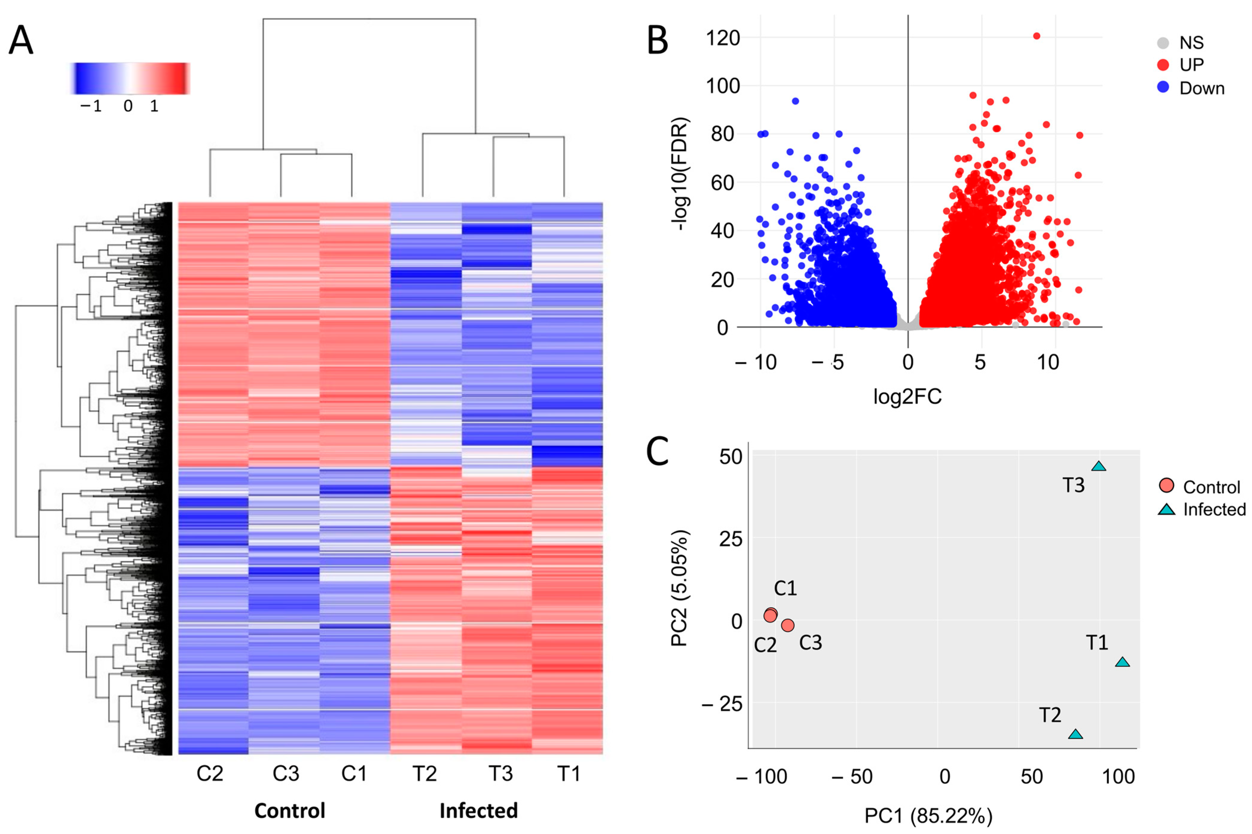 Viruses 16 00380 g002 Viruses 16 00380 g002