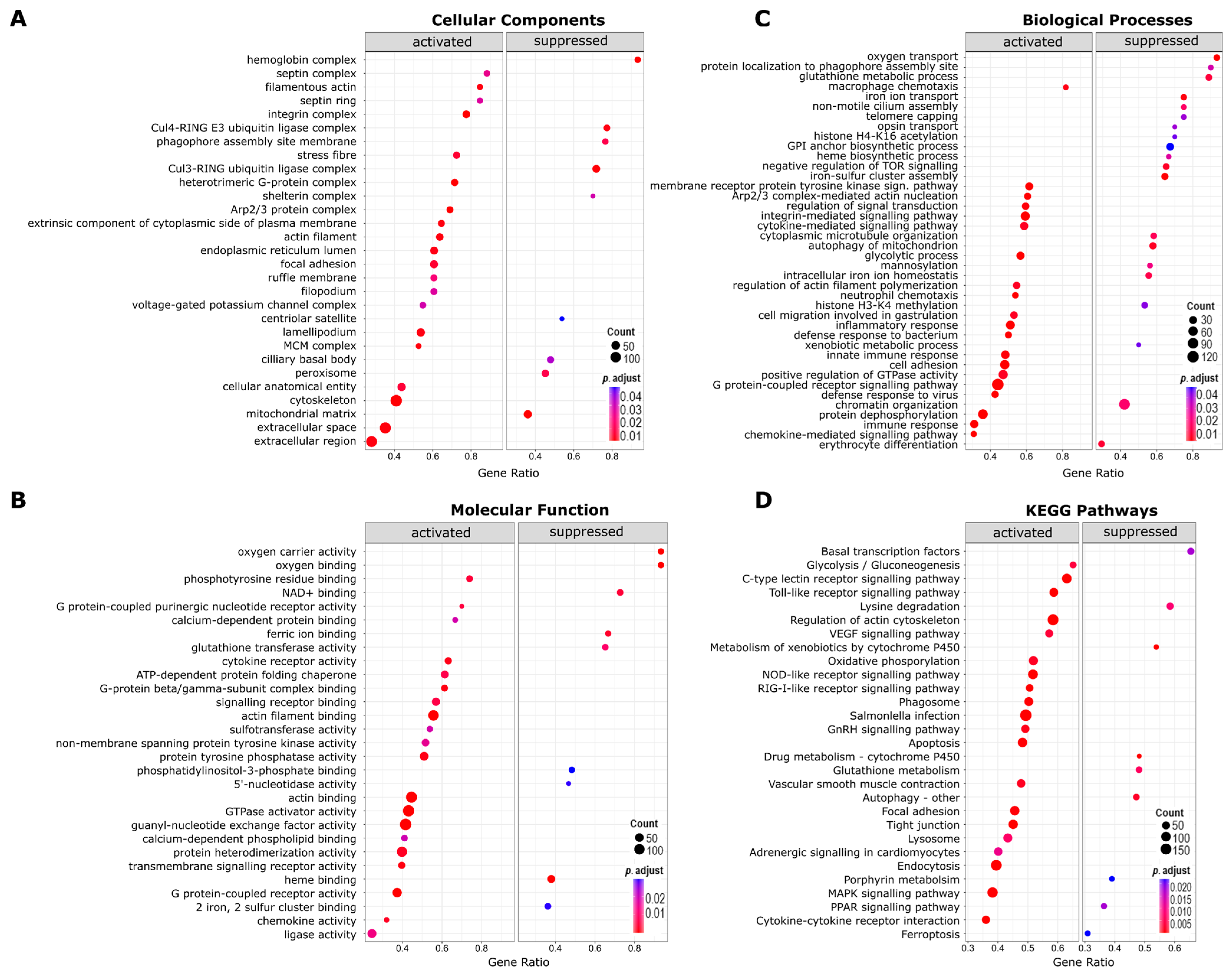 Viruses 16 00380 g003 Viruses 16 00380 g003