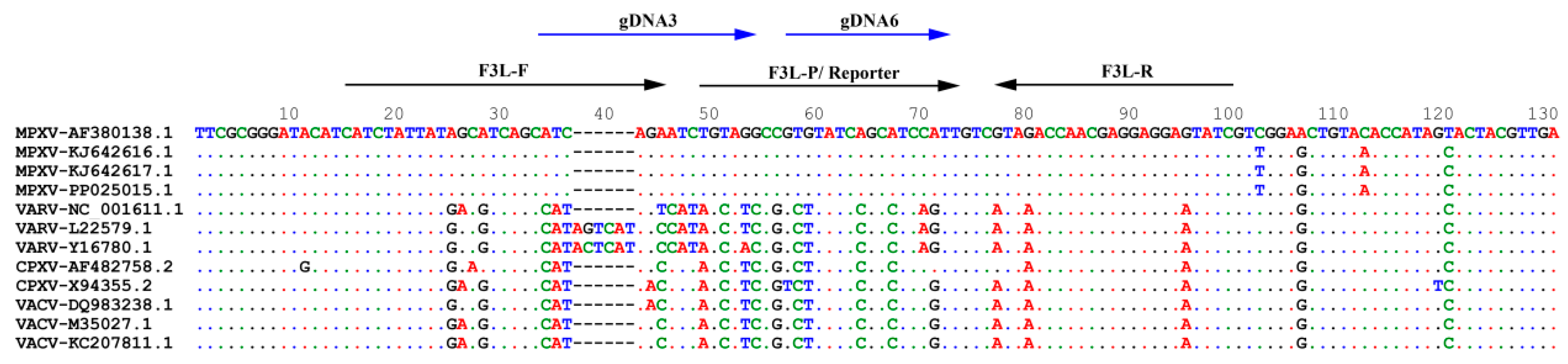 Viruses 16 00382 g001