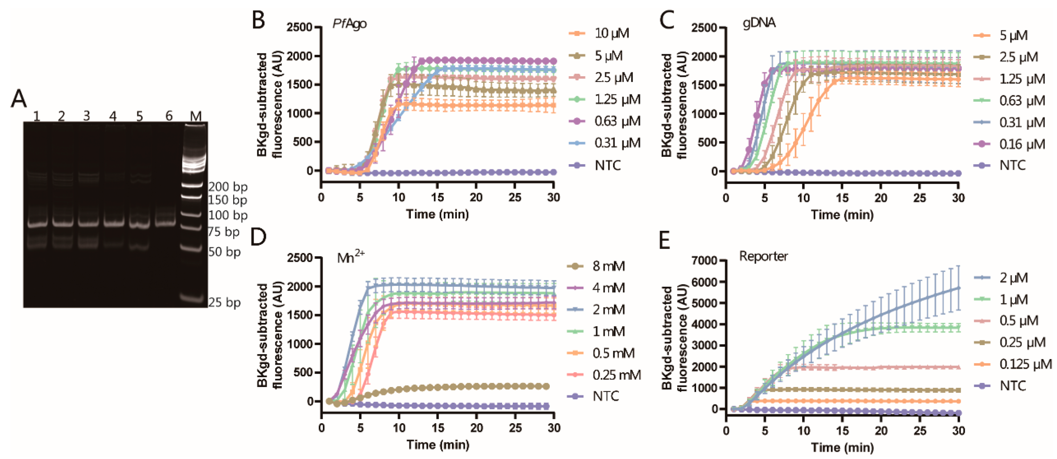 Viruses 16 00382 g004