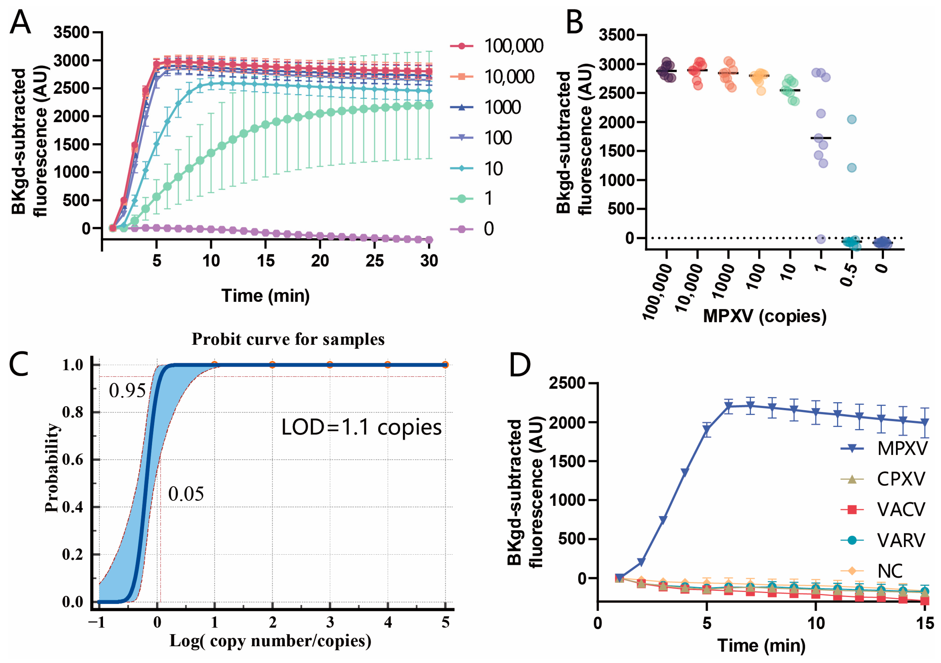 Viruses 16 00382 g005