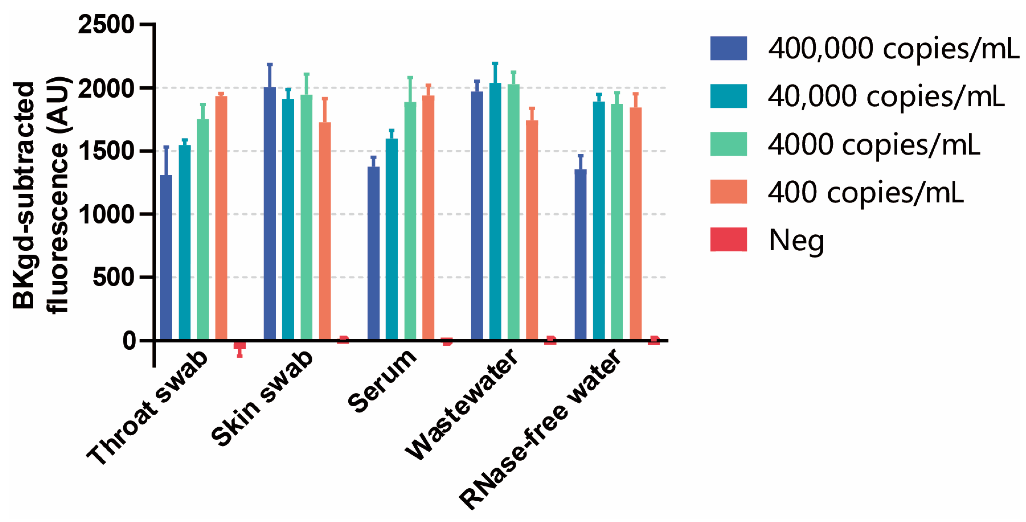 Viruses 16 00382 g006