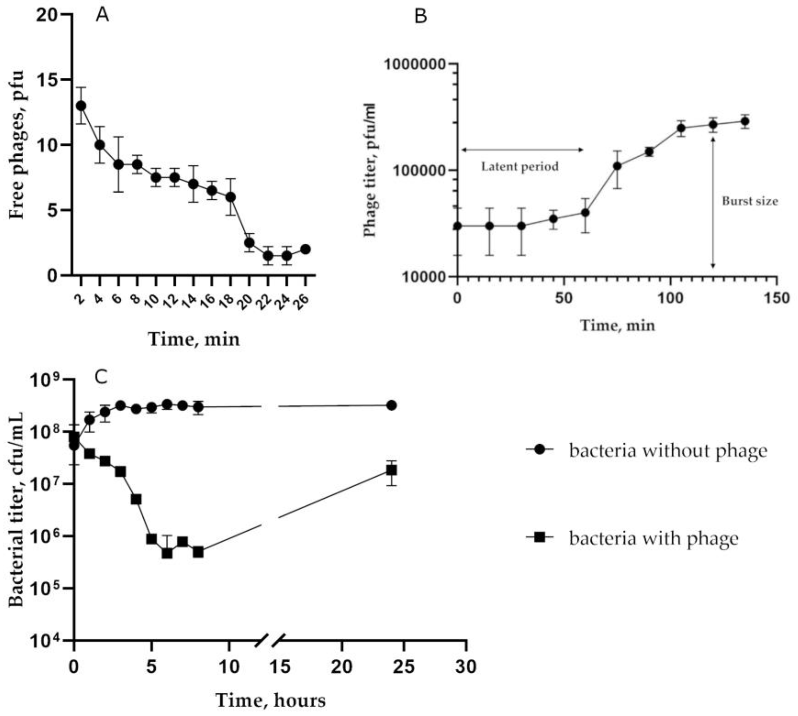 Viruses 16 00385 g002