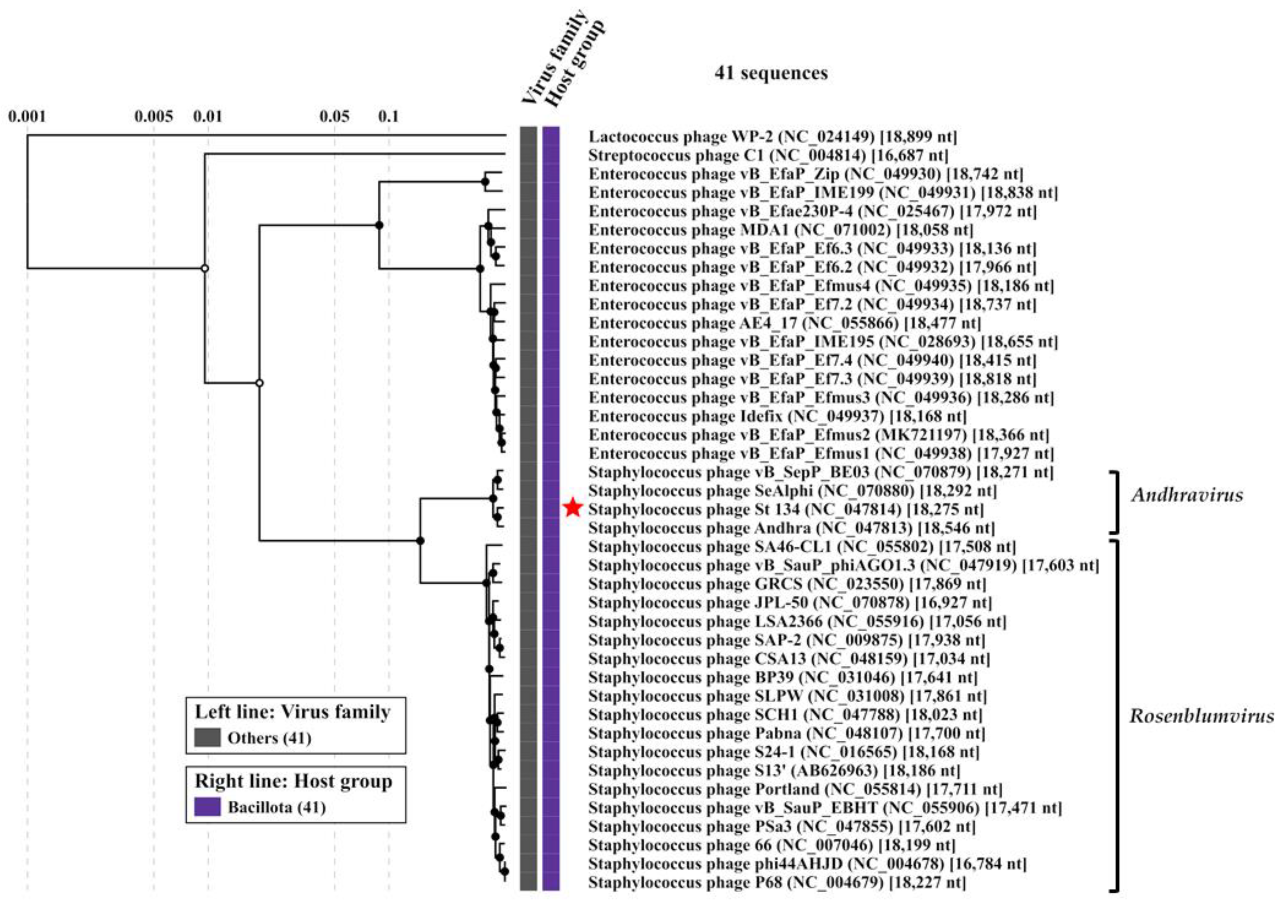 Viruses 16 00385 g004
