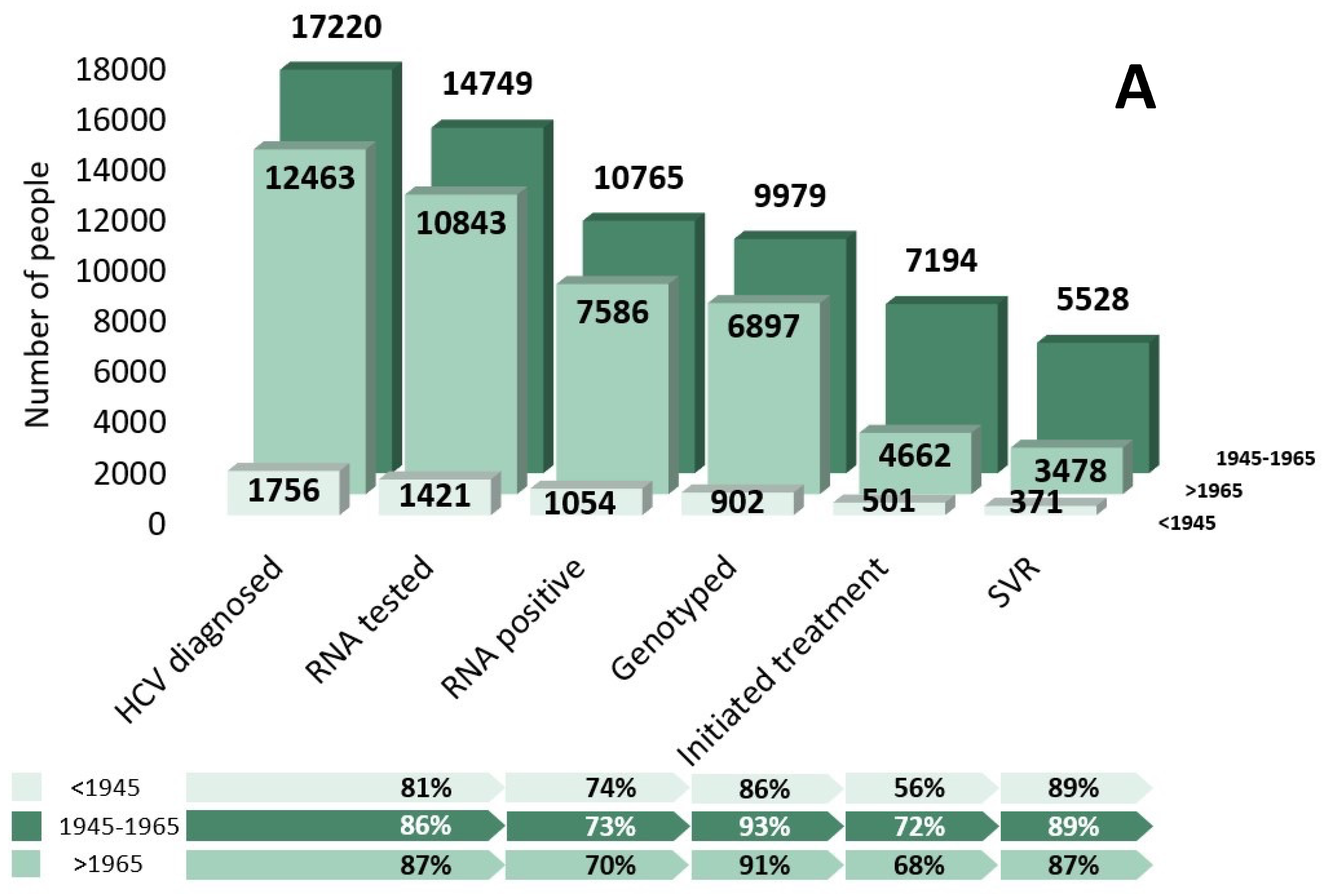 Viruses 16 00389 g002a Viruses 16 00389 g002a