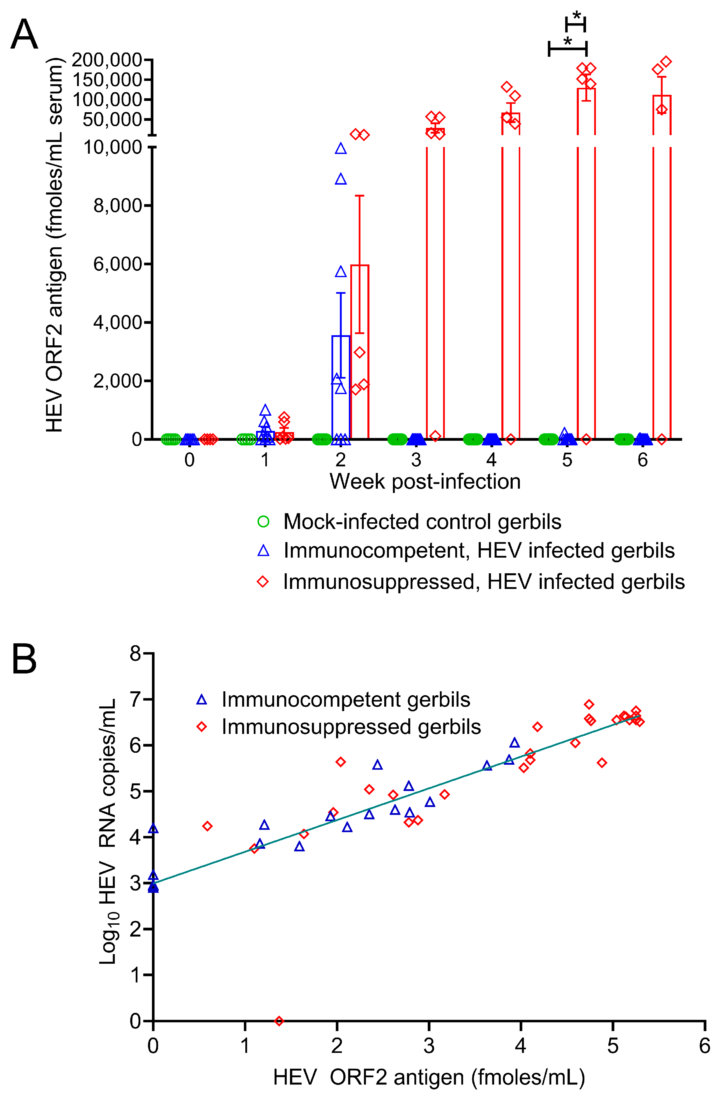 Viruses 16 00393 g005