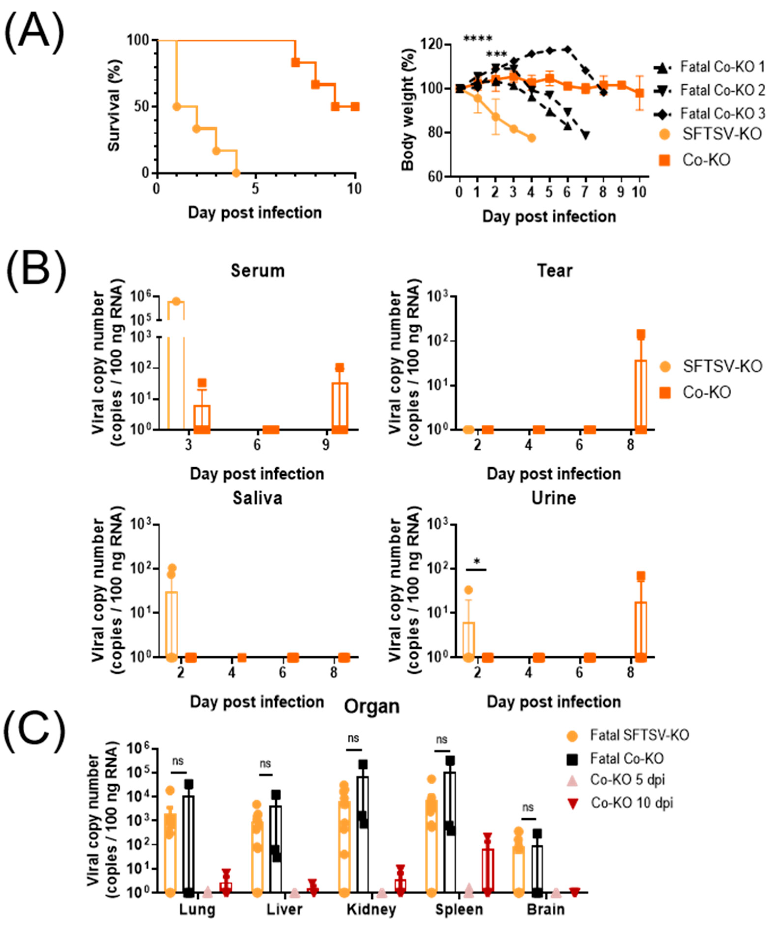 Viruses 16 00401 g003a