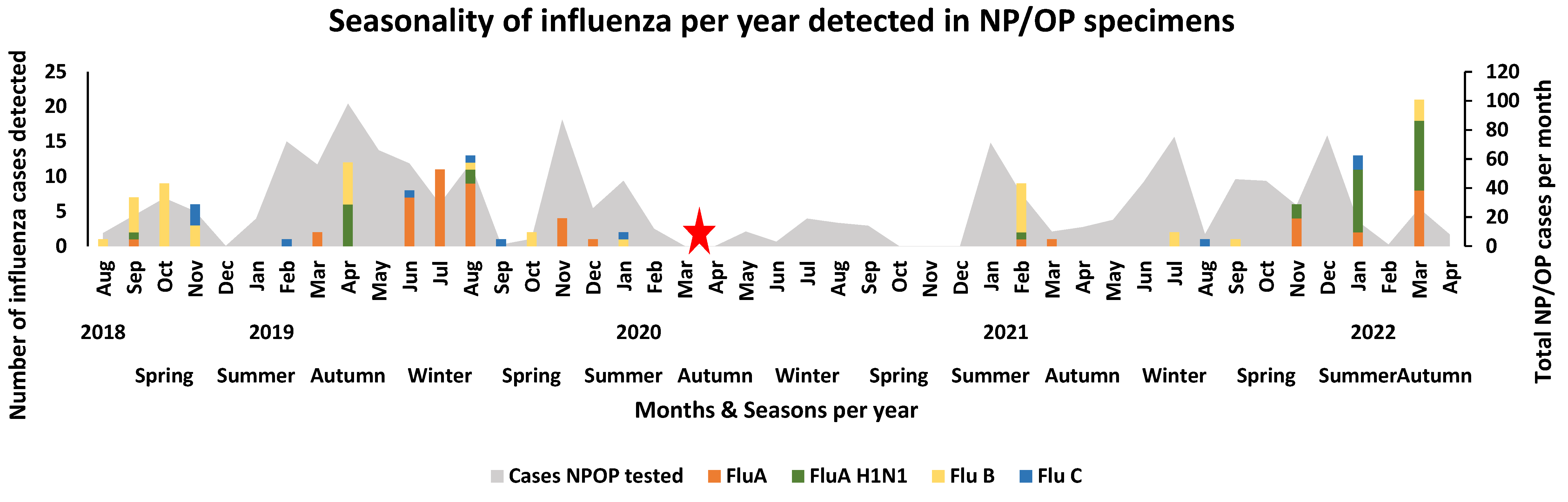 Viruses 16 00404 g001