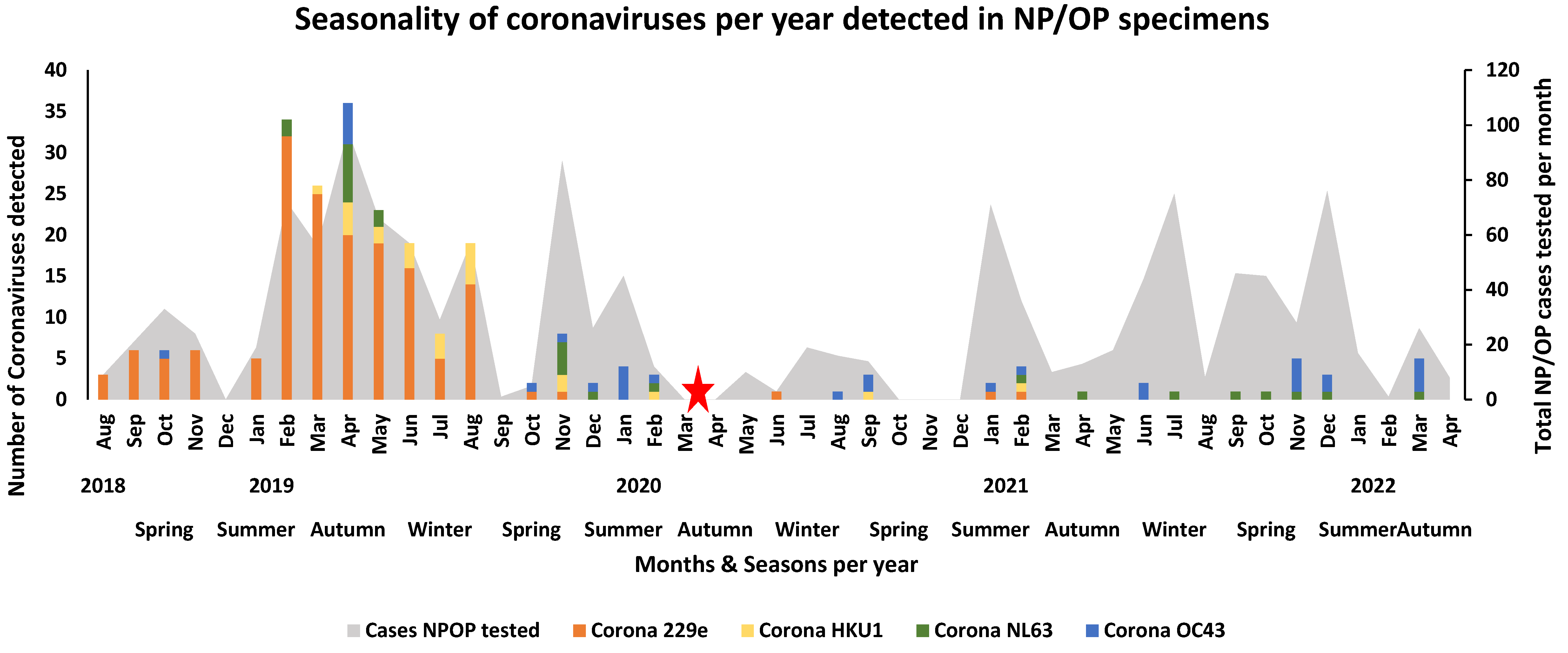 Viruses 16 00404 g002