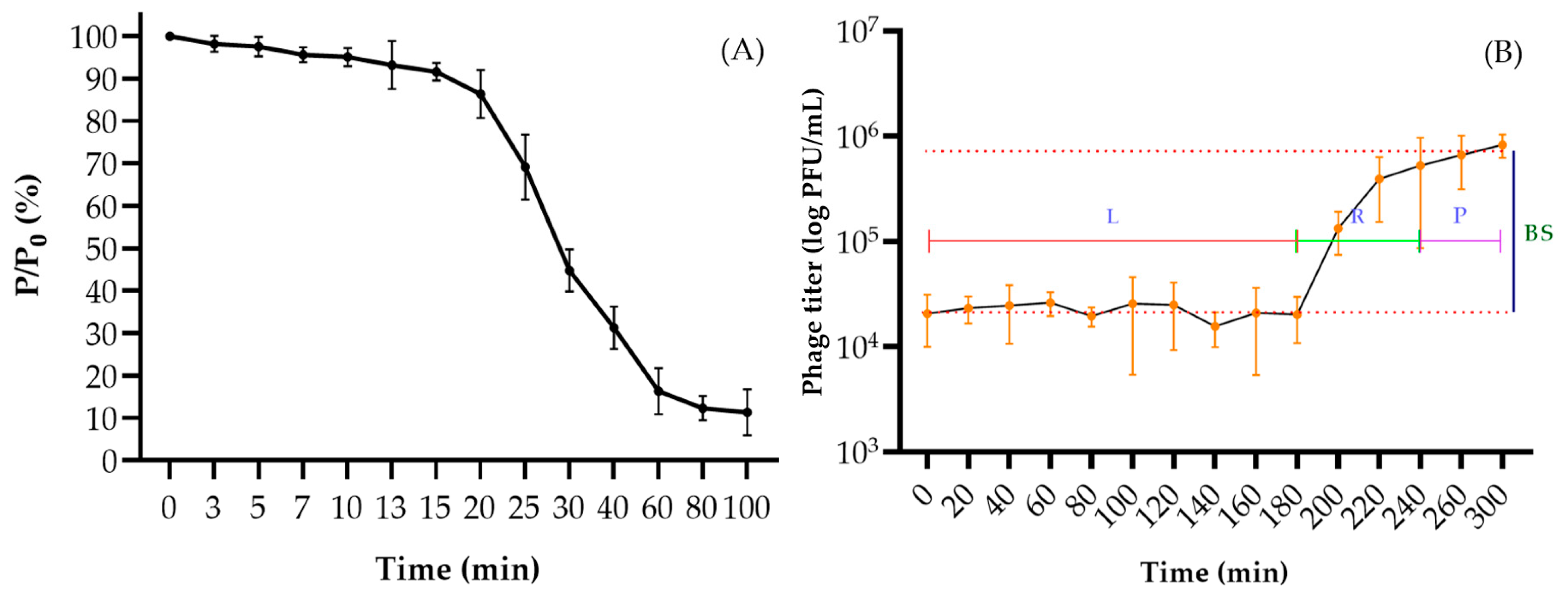 Viruses 16 00406 g002 Viruses 16 00406 g002