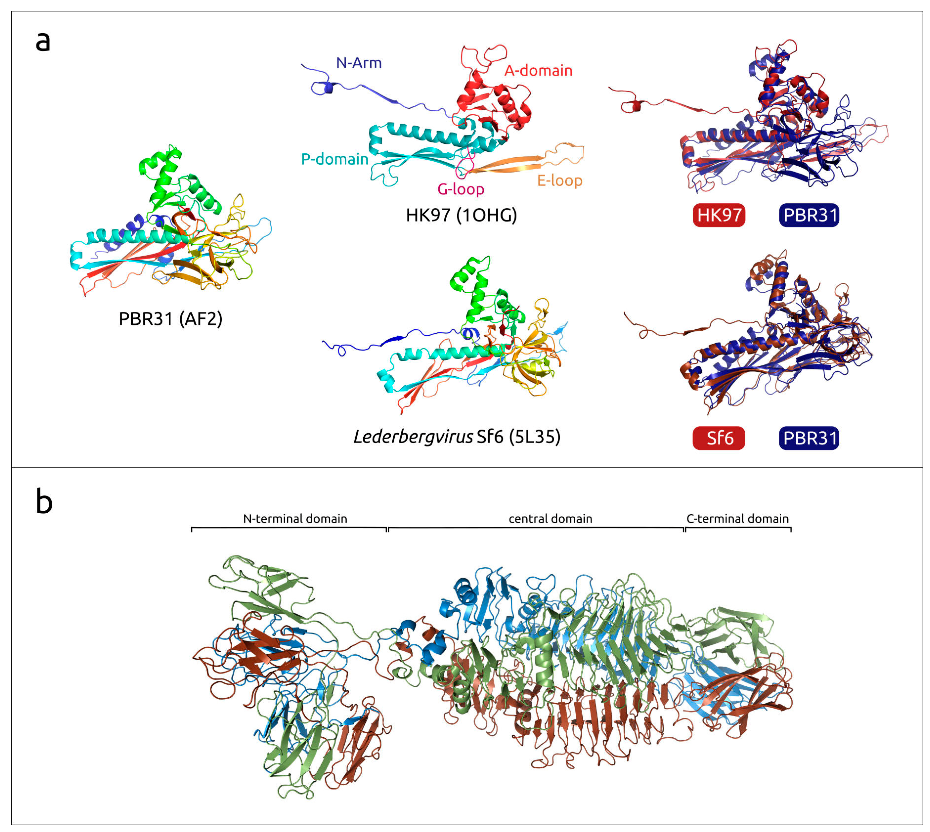 Viruses 16 00406 g005 Viruses 16 00406 g005