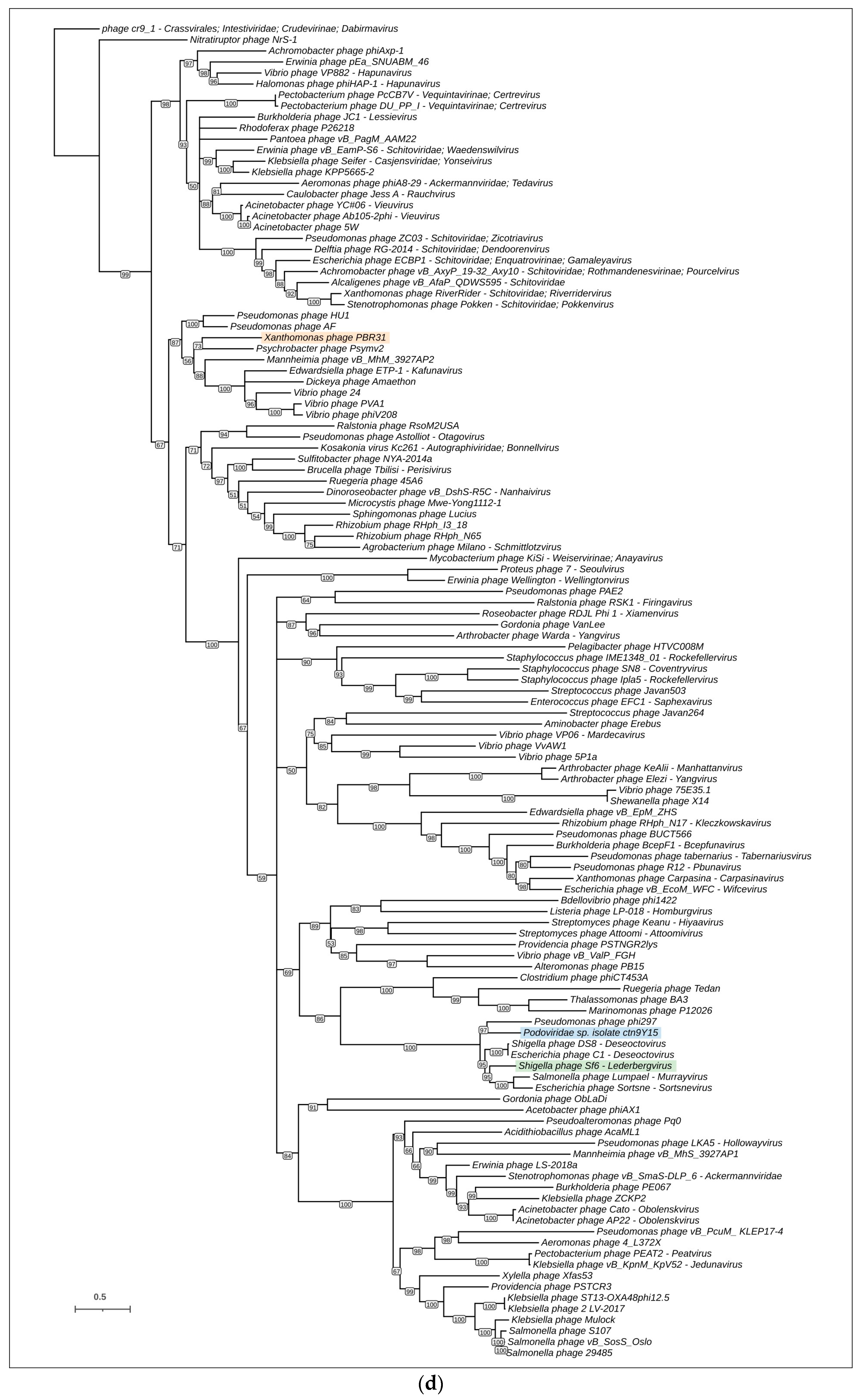 Viruses 16 00406 g006d Viruses 16 00406 g006d