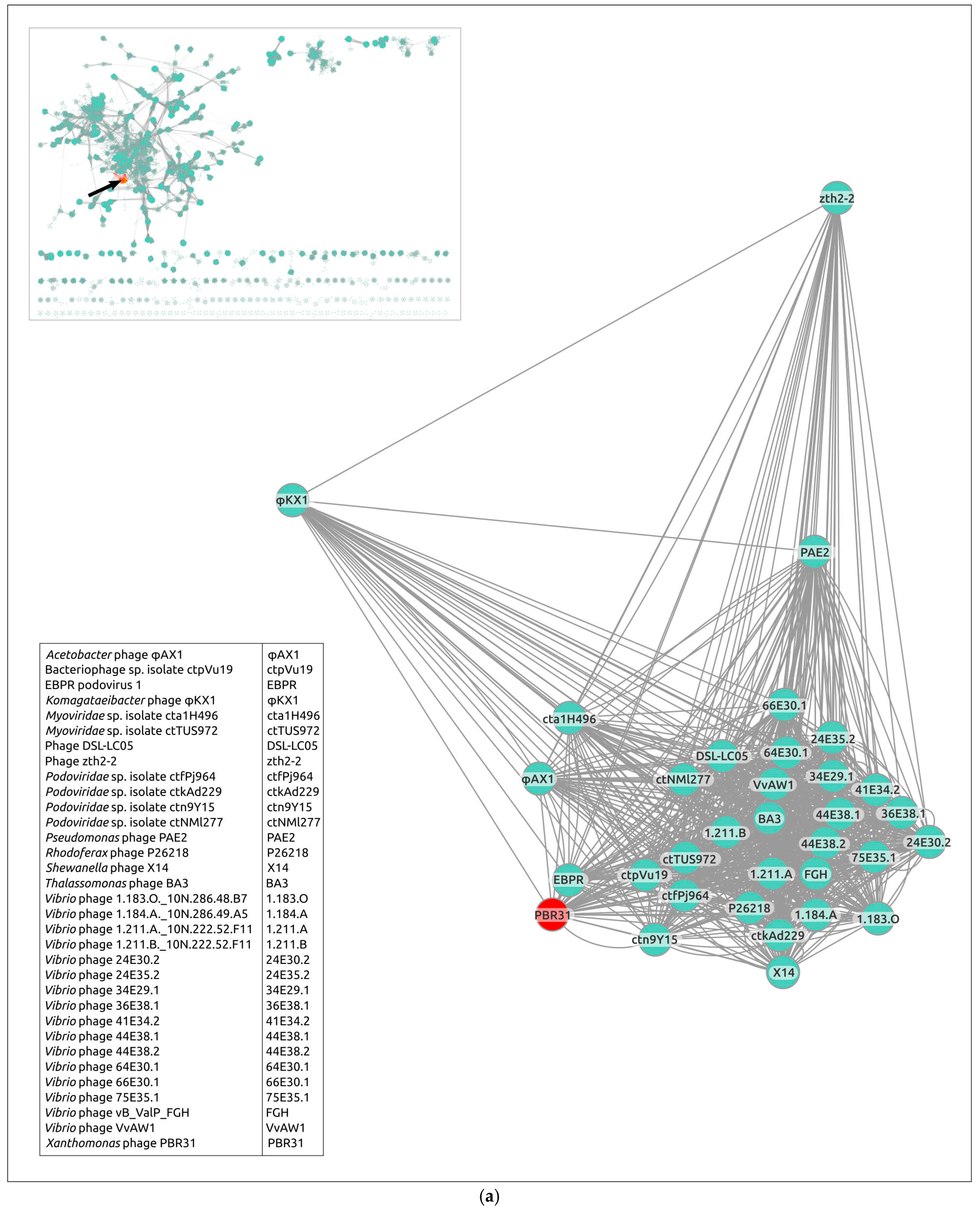 Viruses 16 00406 g007a Viruses 16 00406 g007a