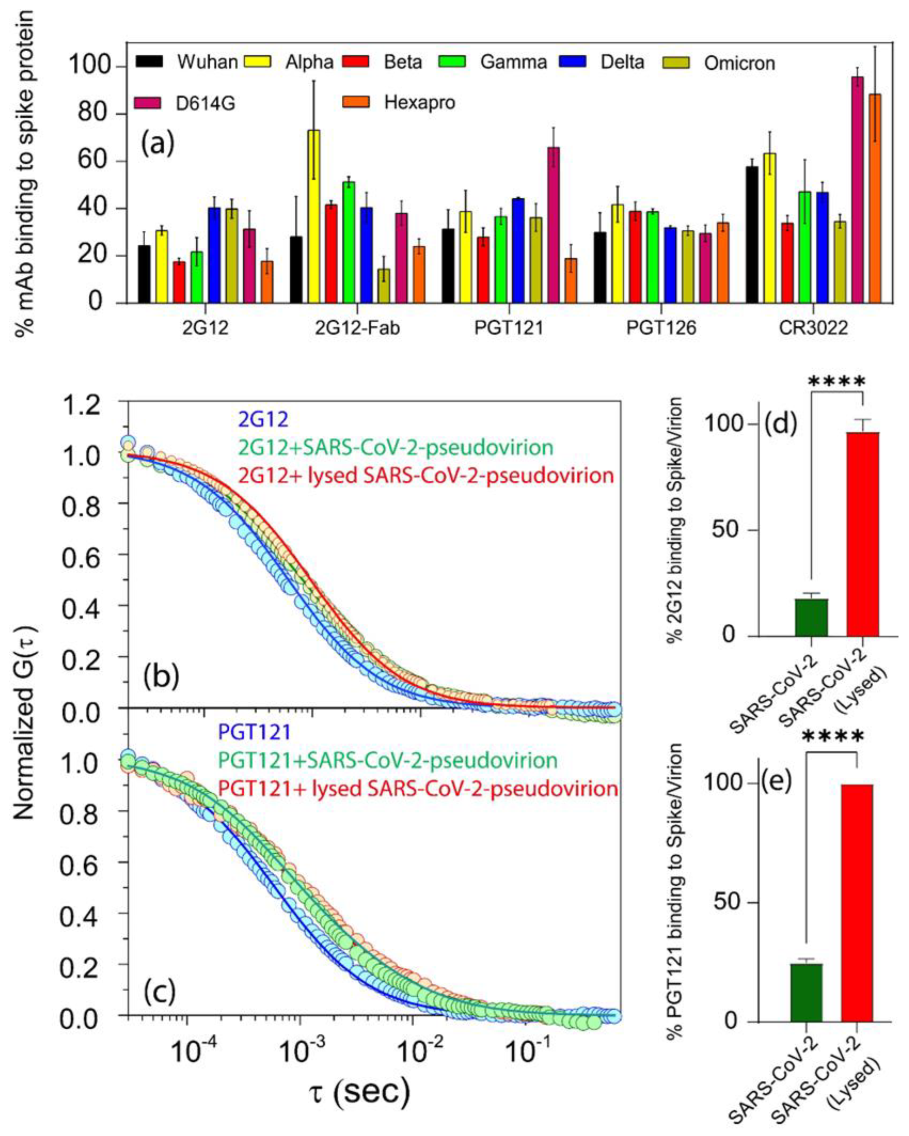 Viruses 16 00407 g006
