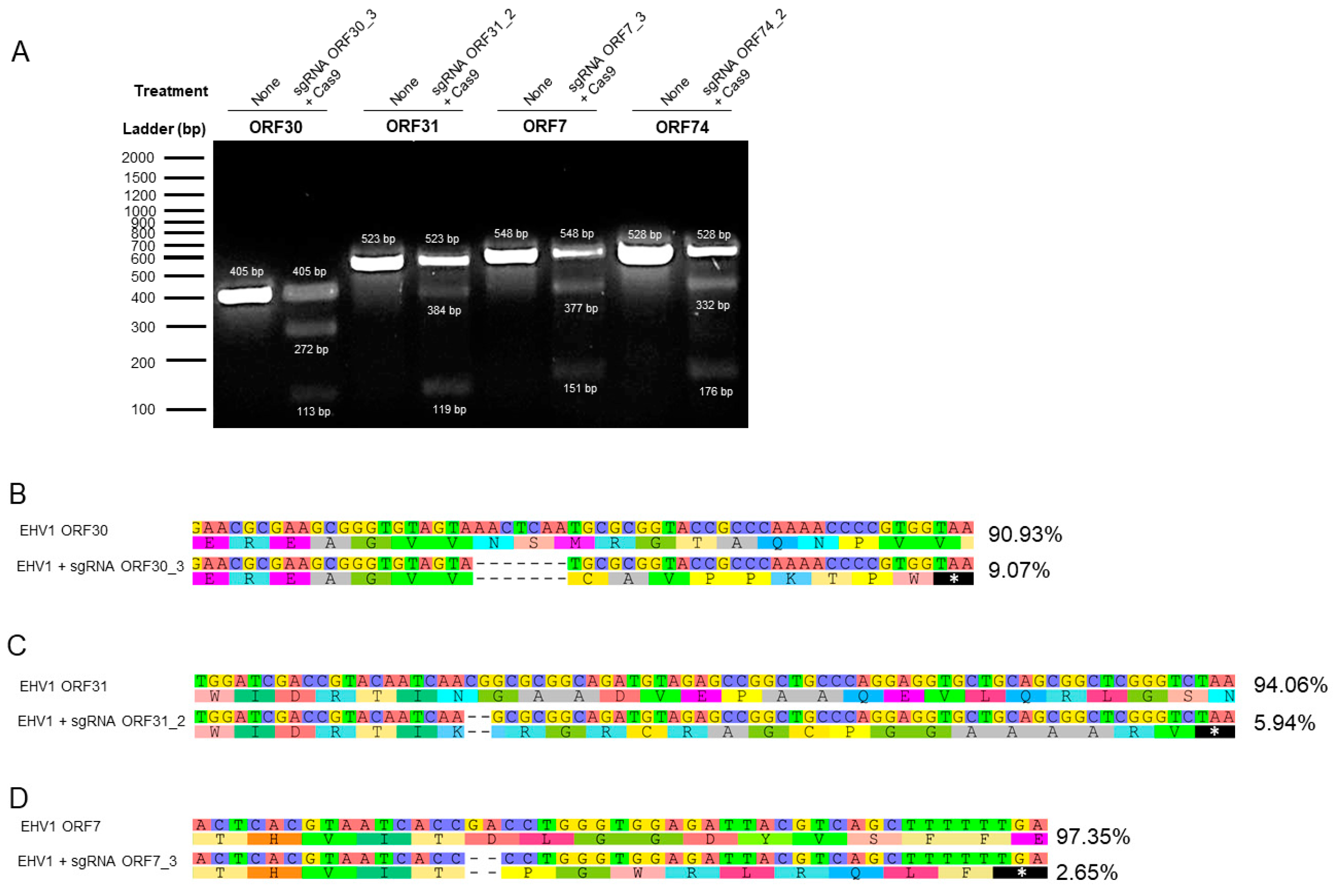 Viruses 16 00409 g006