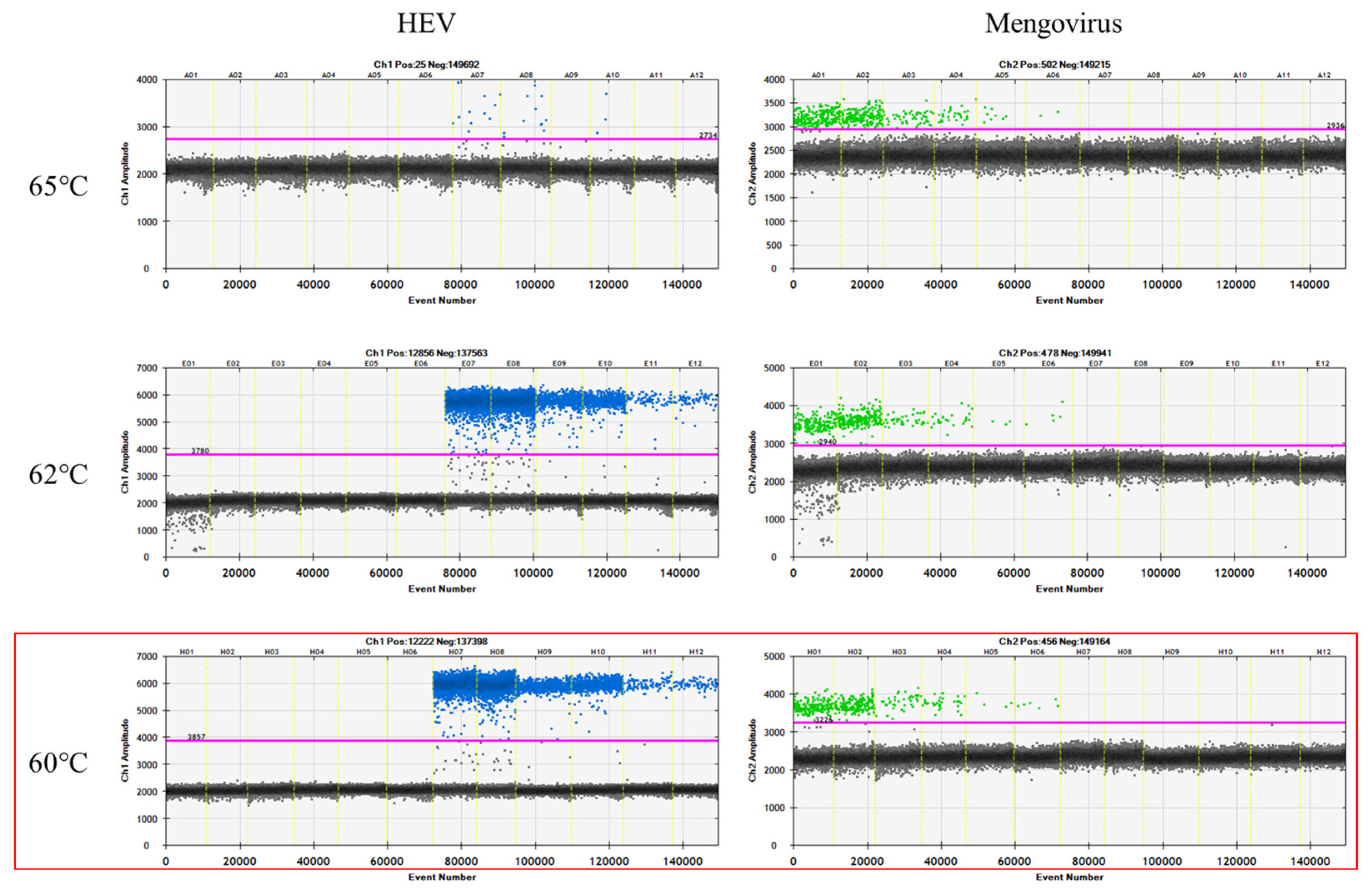 Viruses 16 00413 g002
