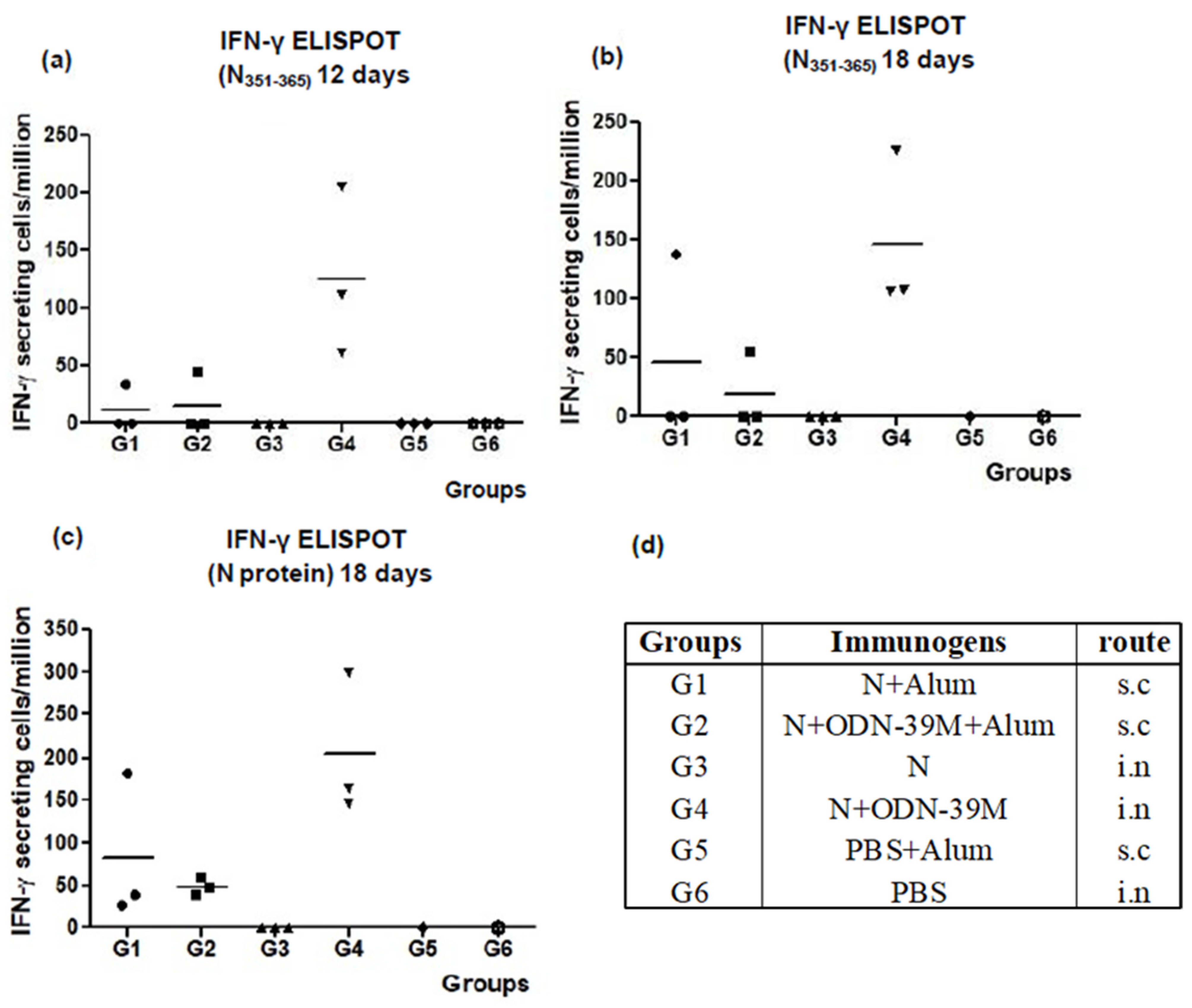 Viruses 16 00418 g002
