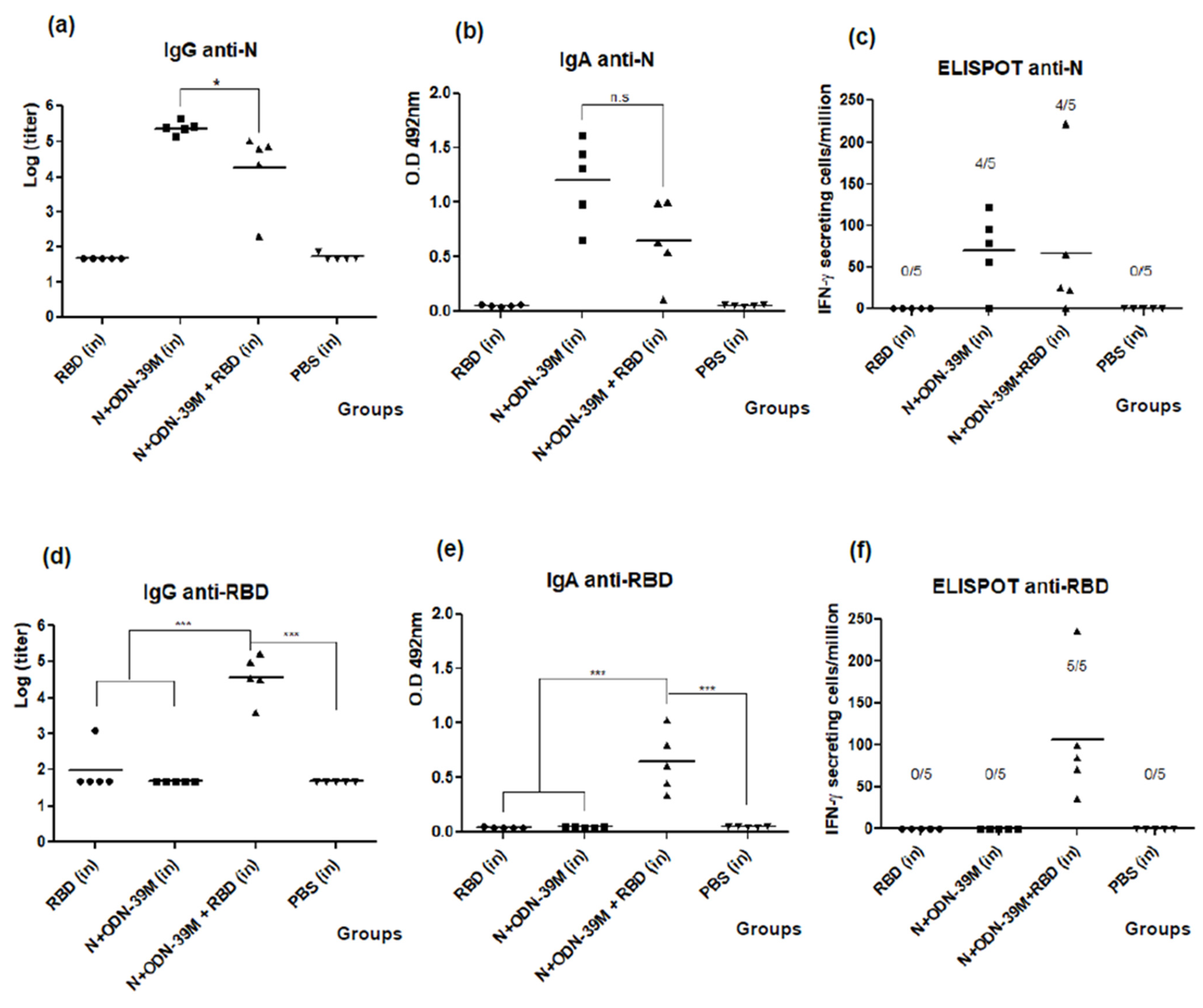 Viruses 16 00418 g007