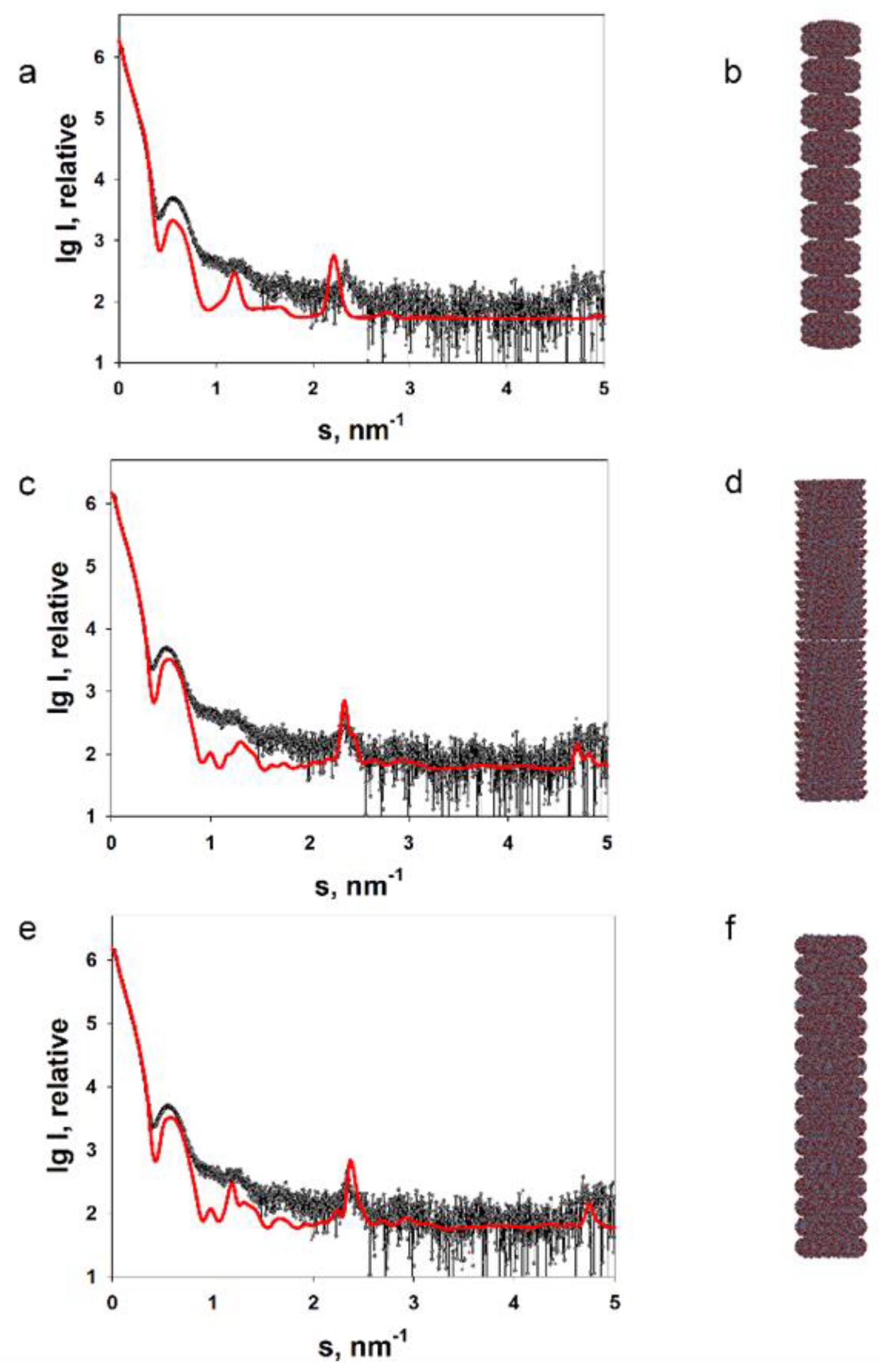 Viruses 16 00427 g001 Viruses 16 00427 g001