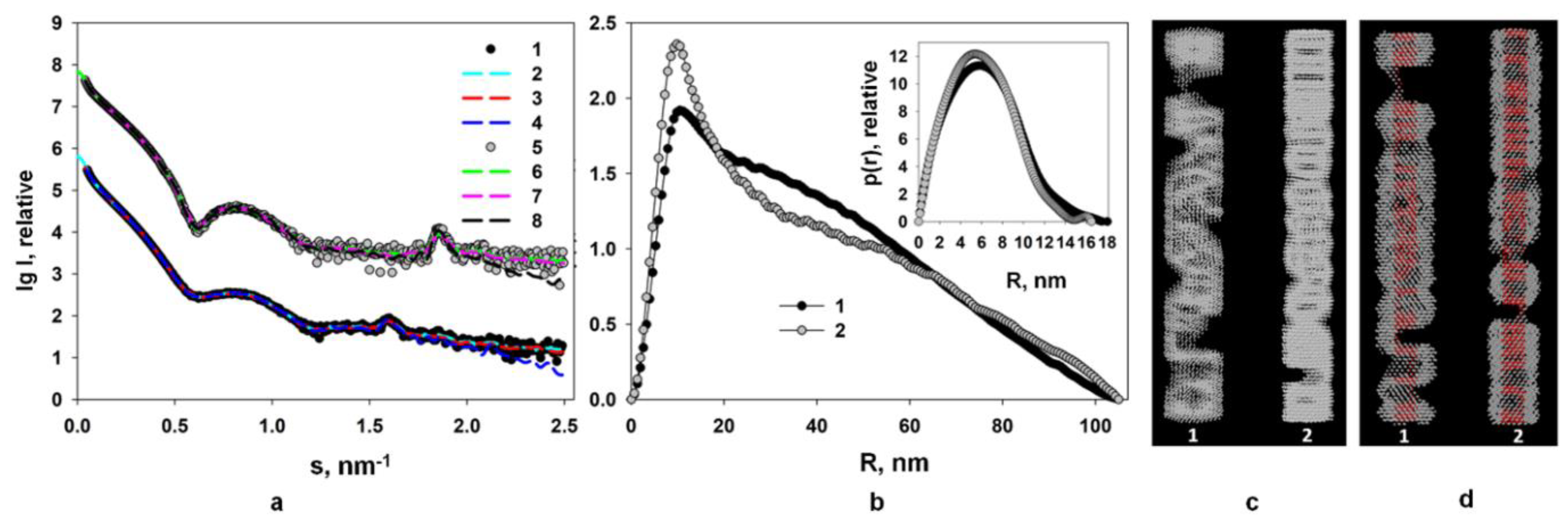 Viruses 16 00427 g003 Viruses 16 00427 g003