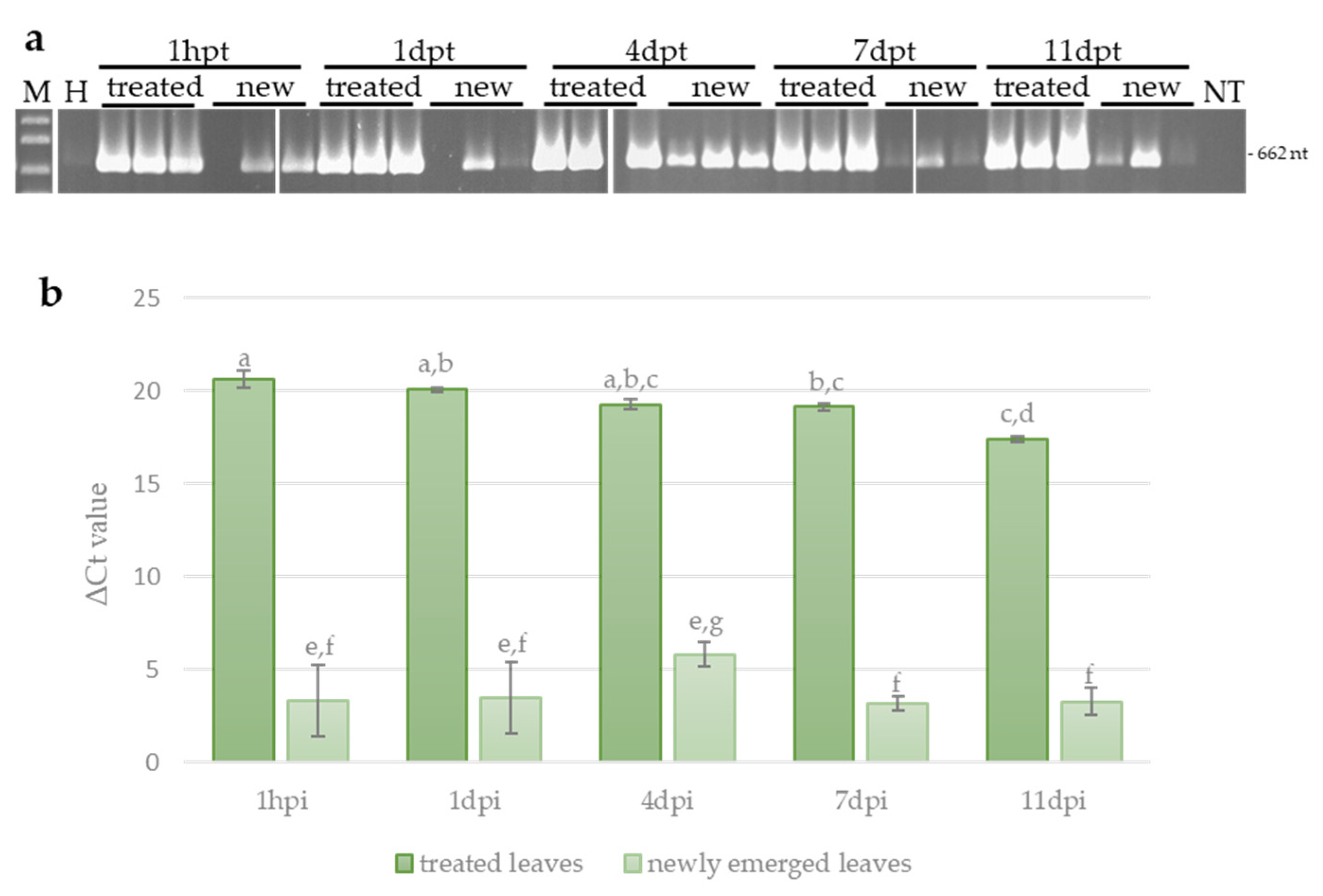Viruses 16 00436 g005