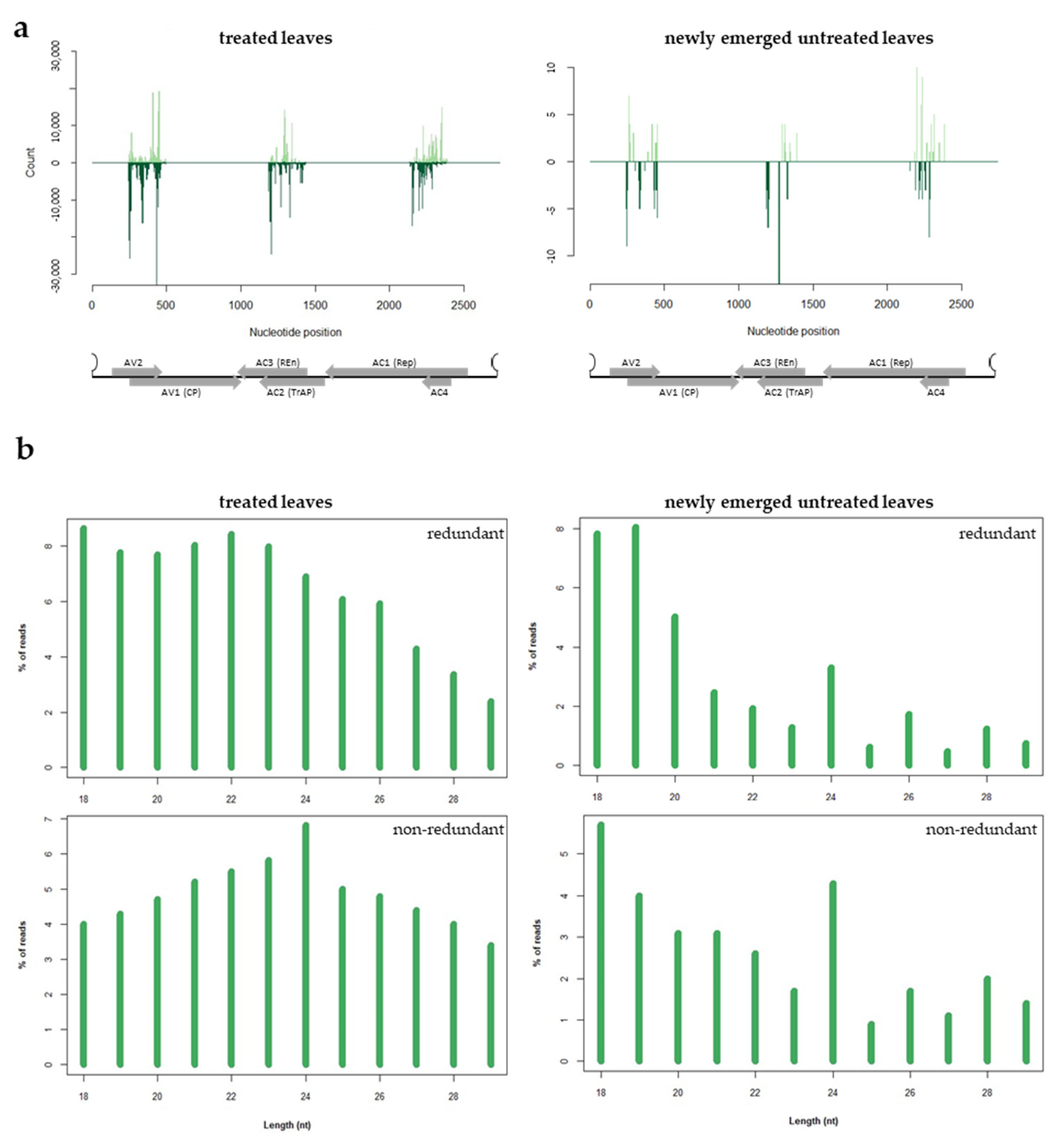 Viruses 16 00436 g006