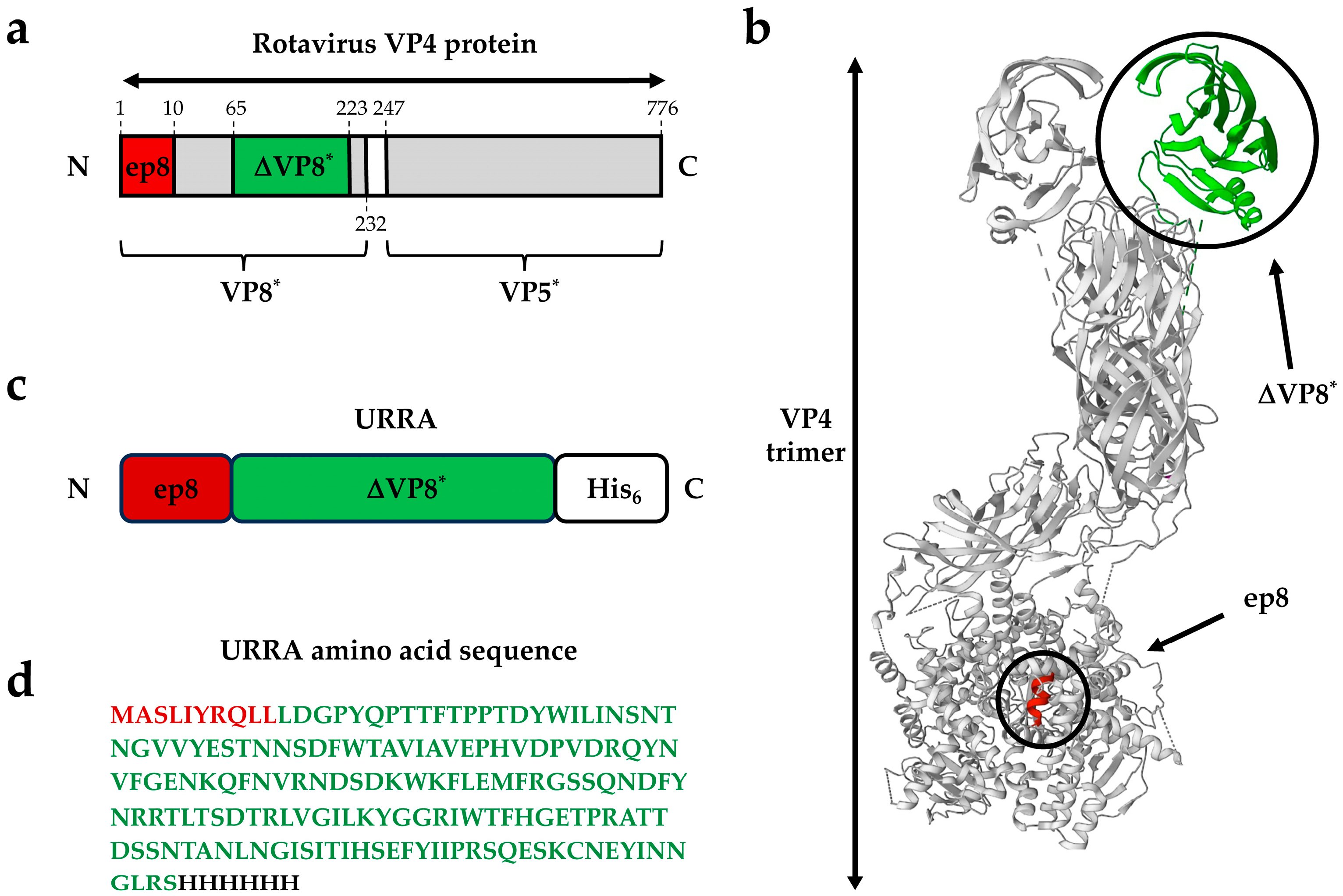 Viruses 16 00438 g001 Viruses 16 00438 g001