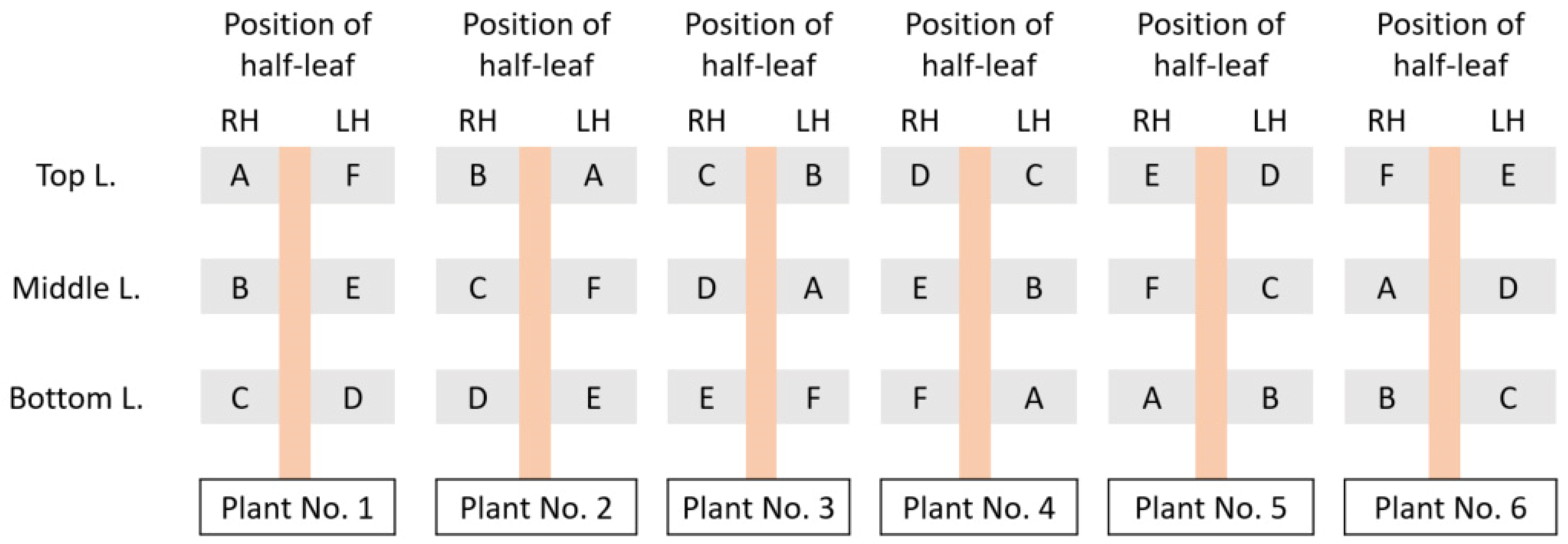 Viruses 16 00440 g003