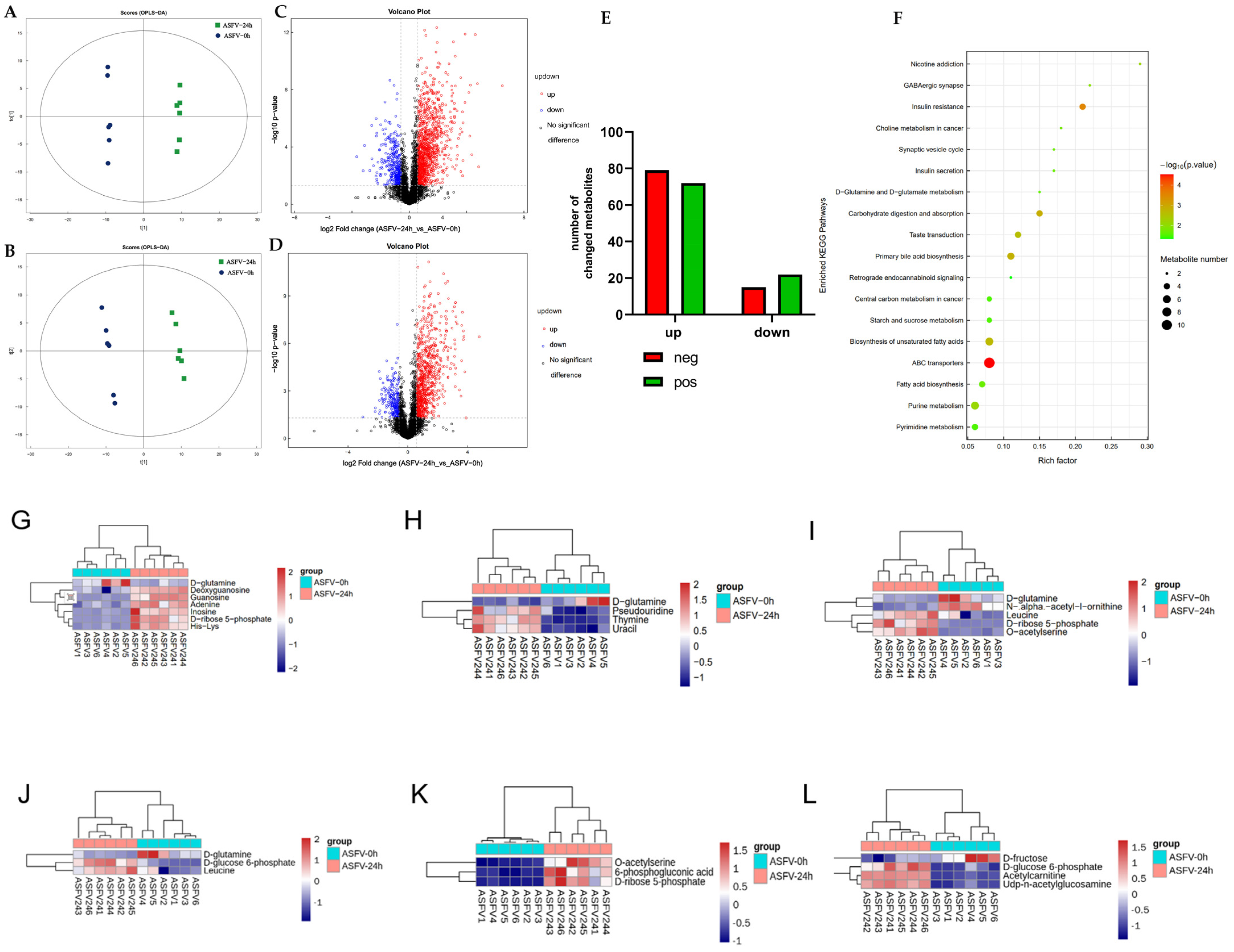 Viruses 16 00449 g003