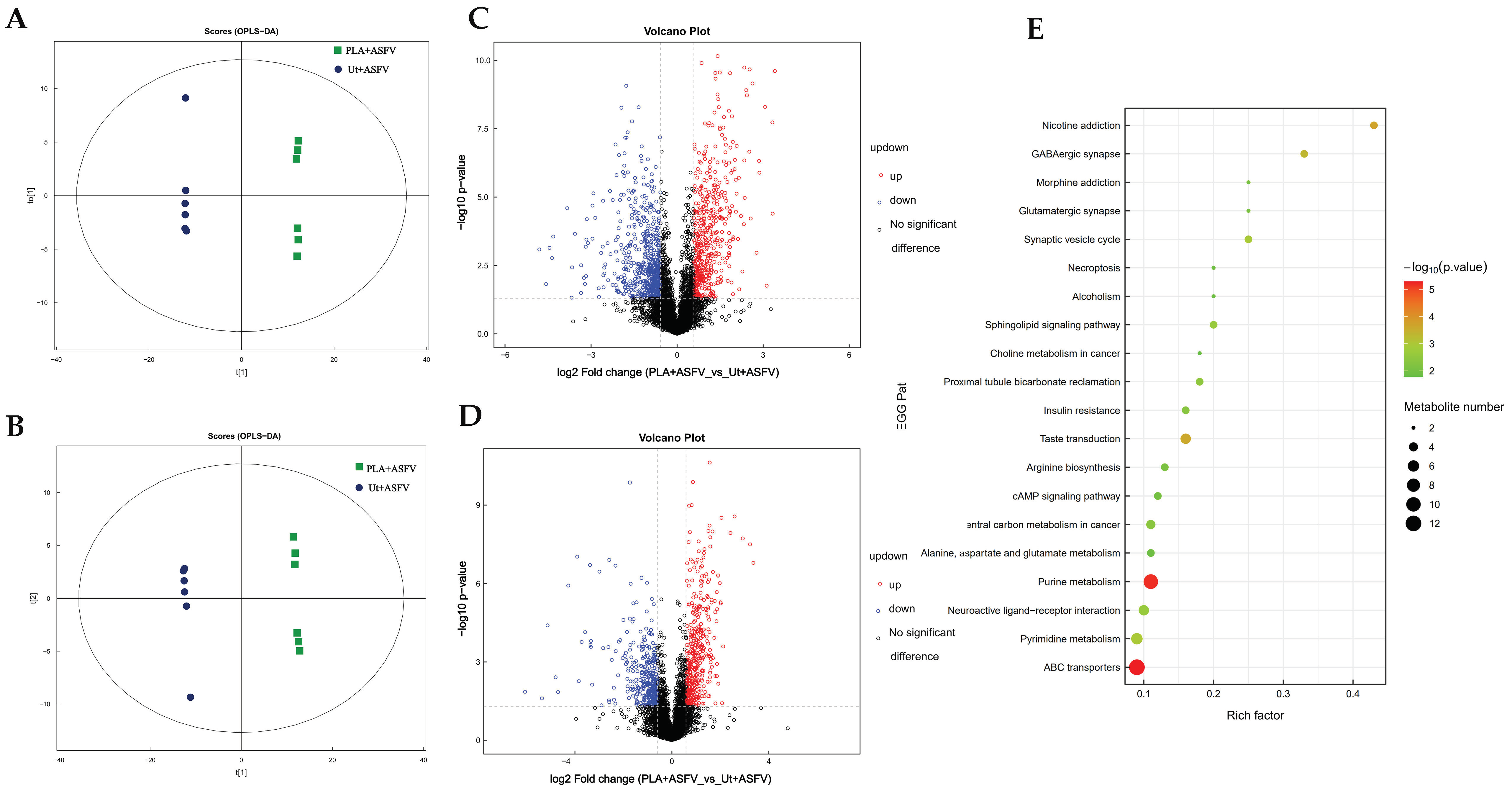 Viruses 16 00449 g005a