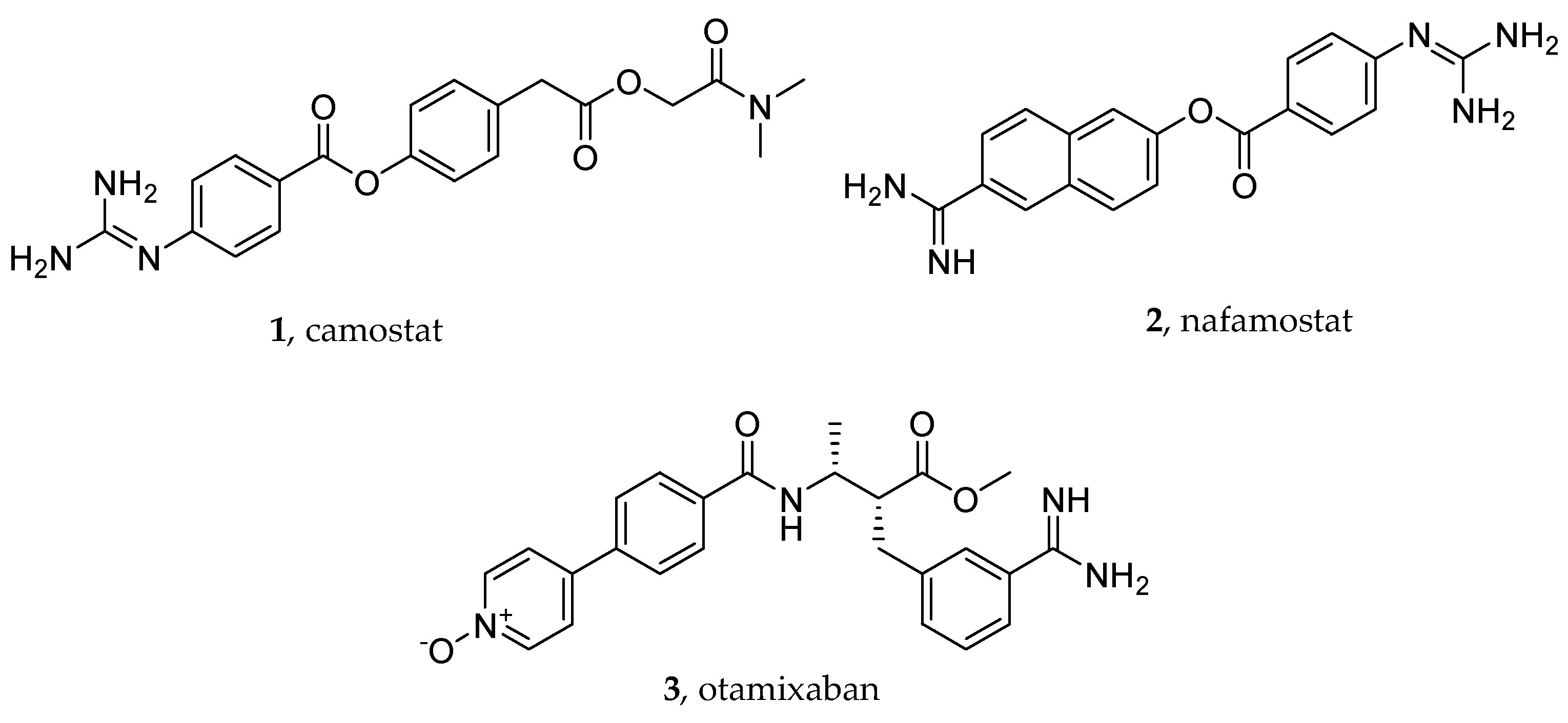 Viruses 16 00450 g002