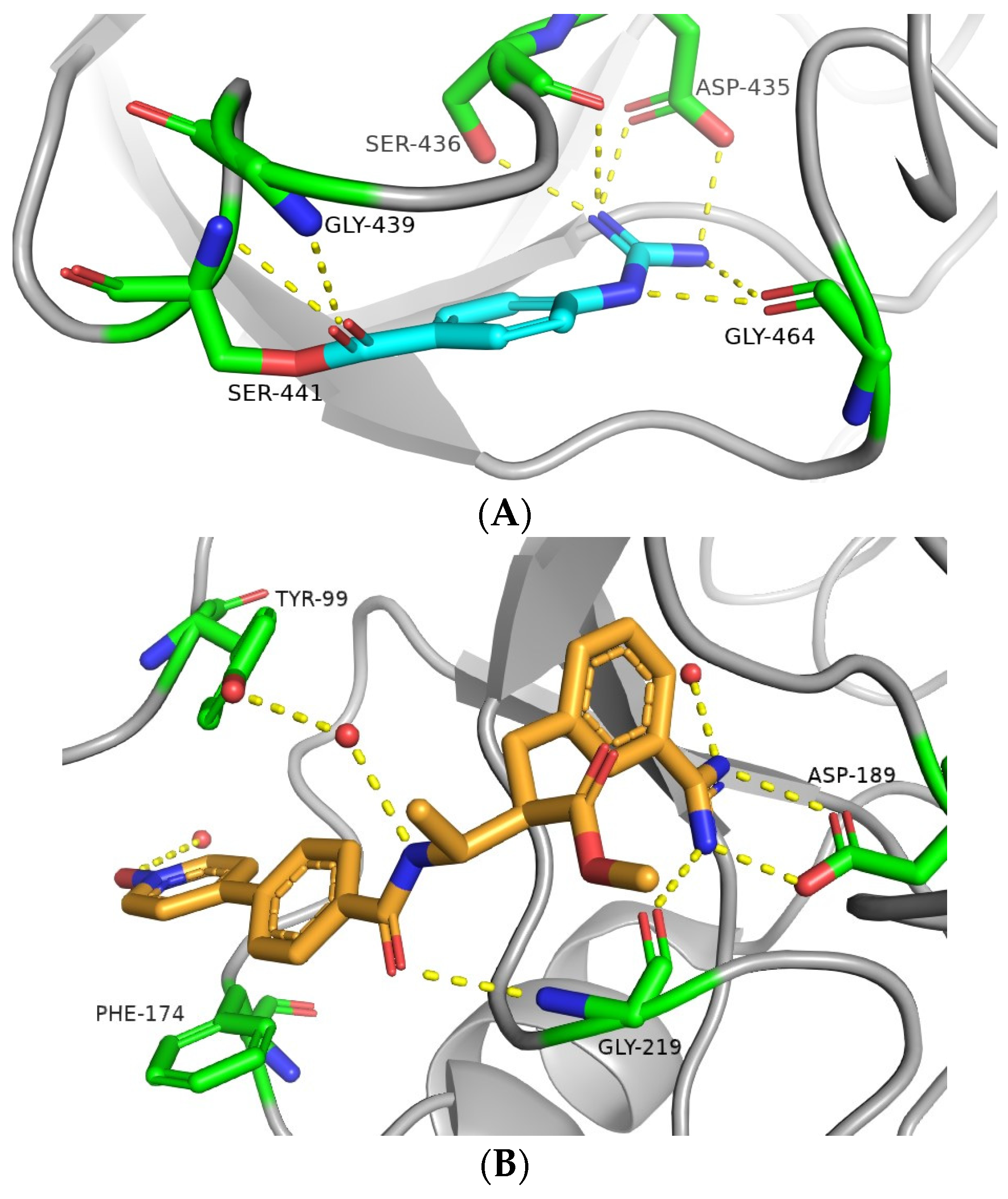 Viruses 16 00450 g003