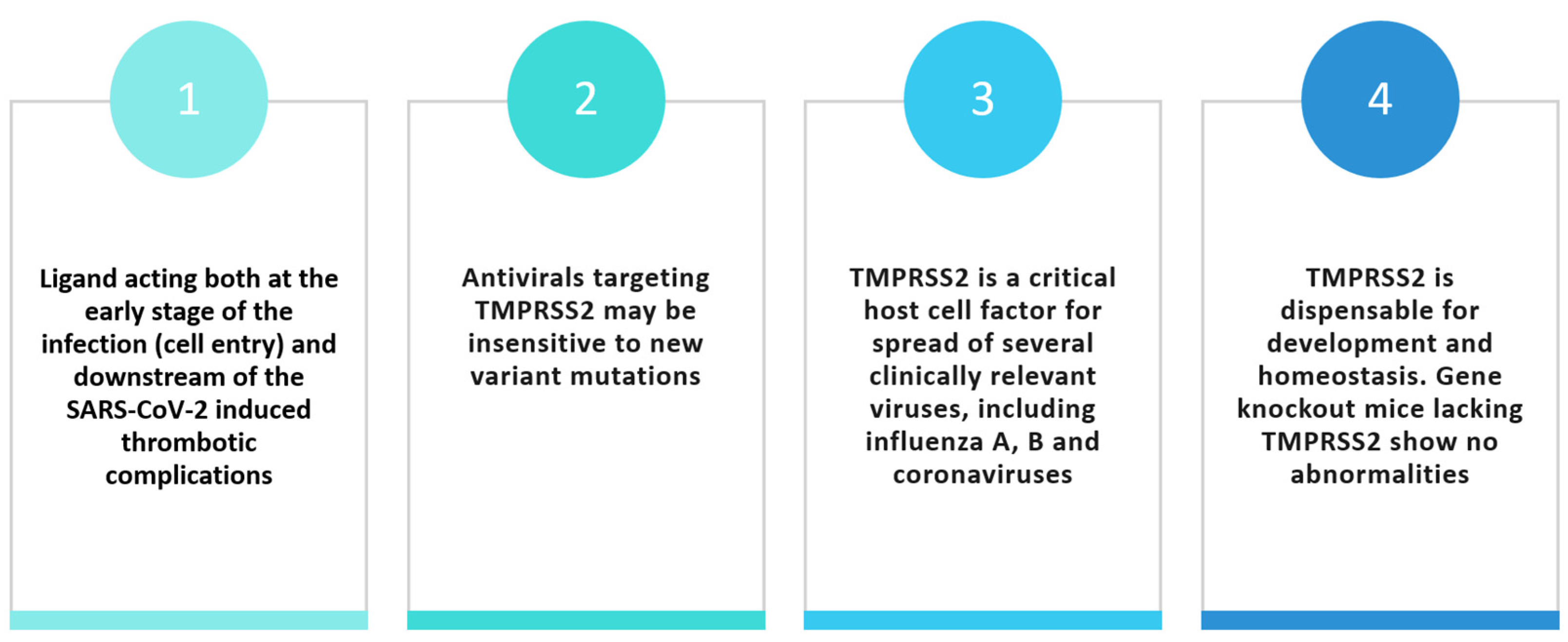 Viruses 16 00450 g004