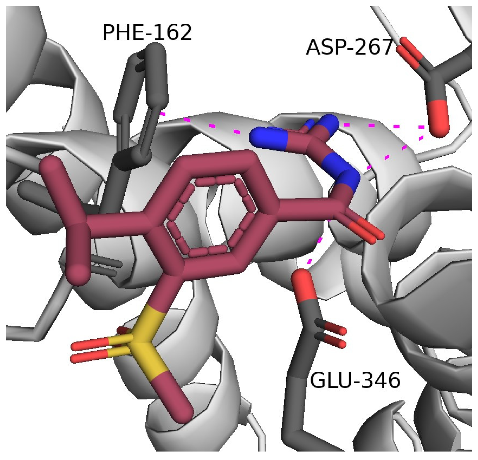 Viruses 16 00450 g009