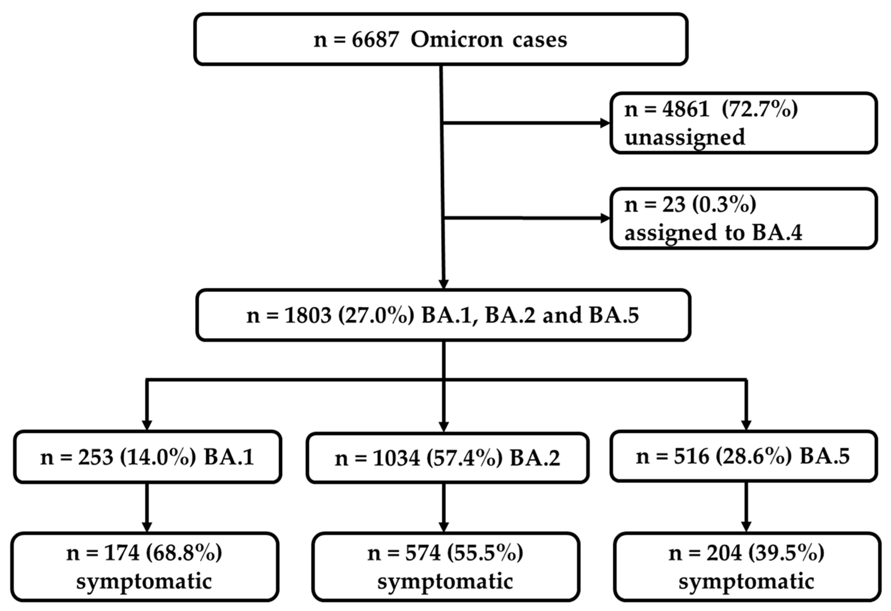 Viruses 16 00454 g001