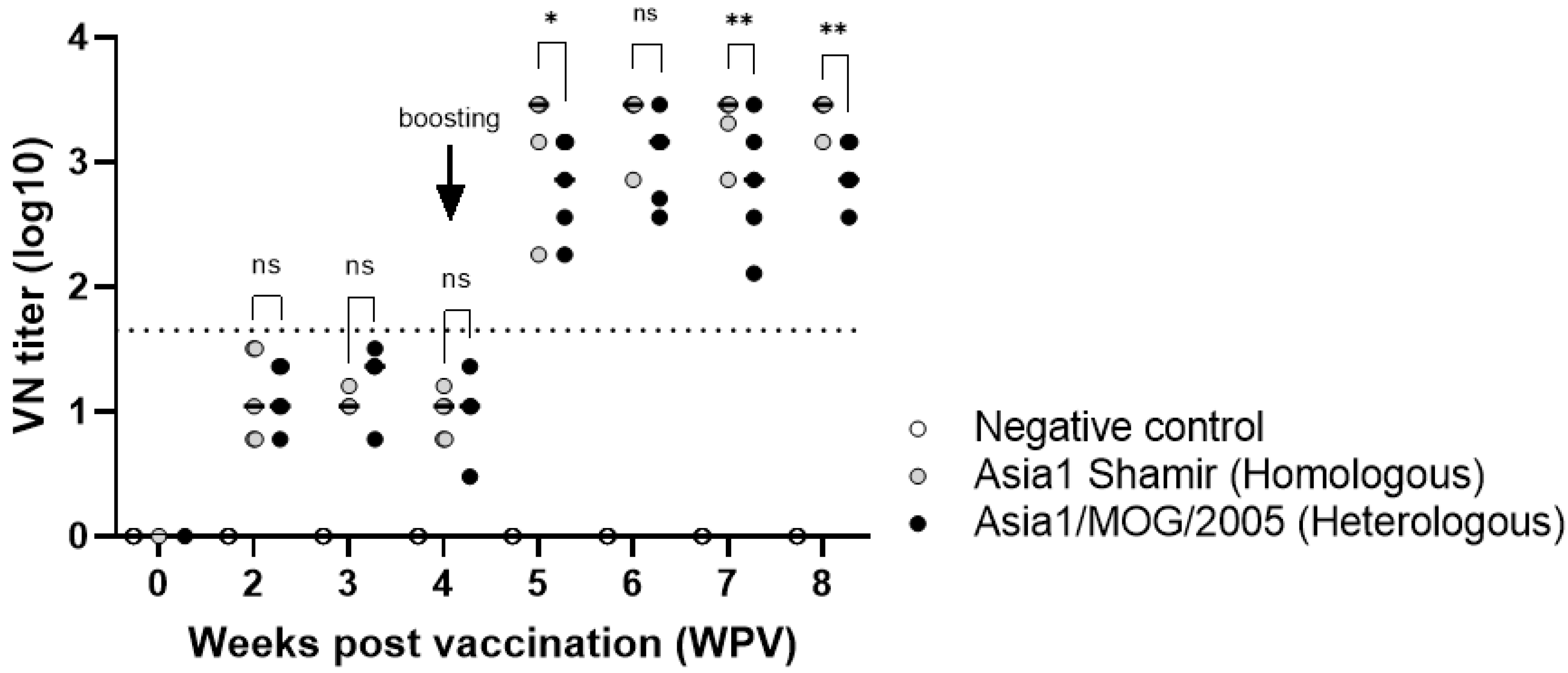 Viruses 16 00457 g004